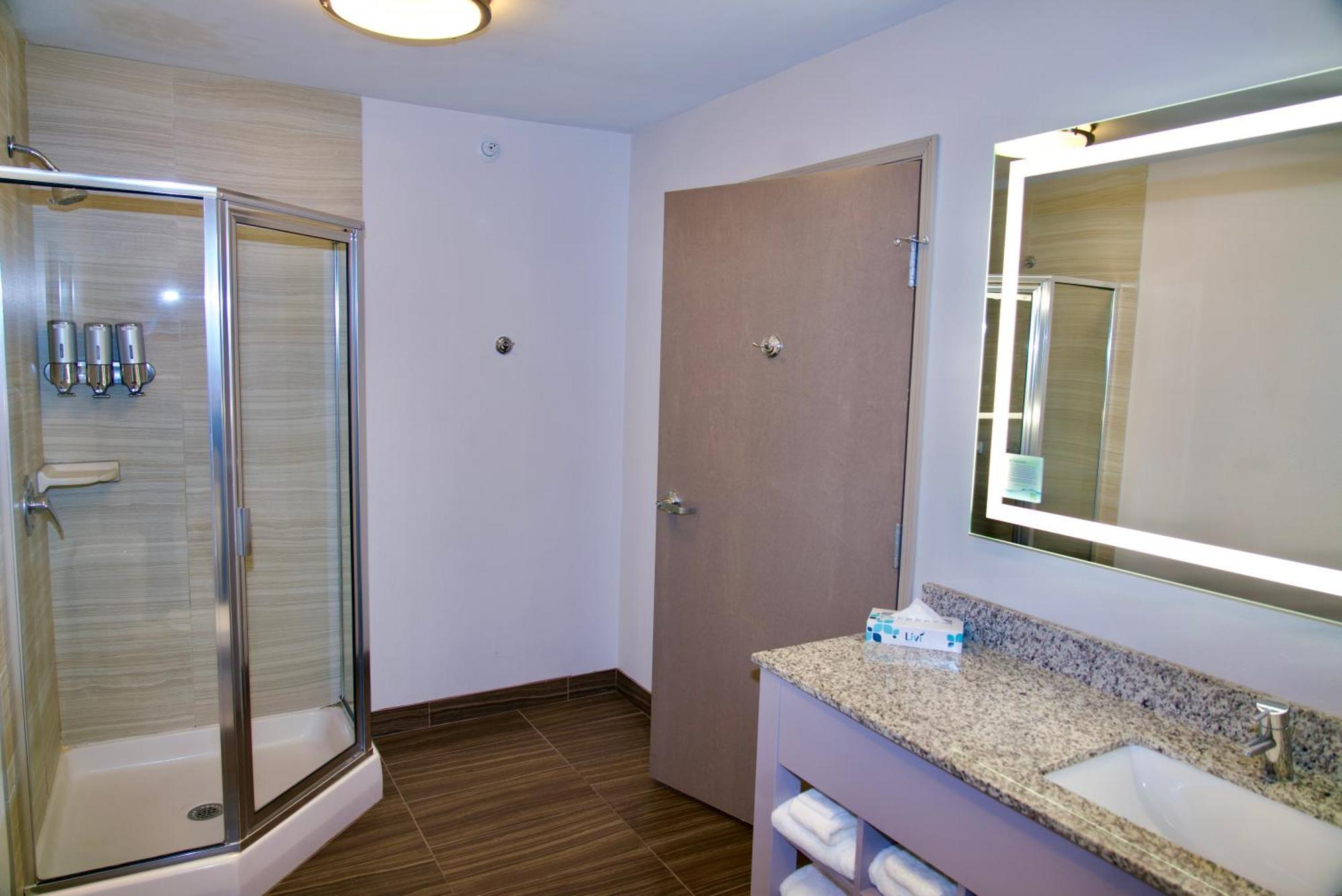 Deluxe One-Bedroom King Suite Non-Smoking