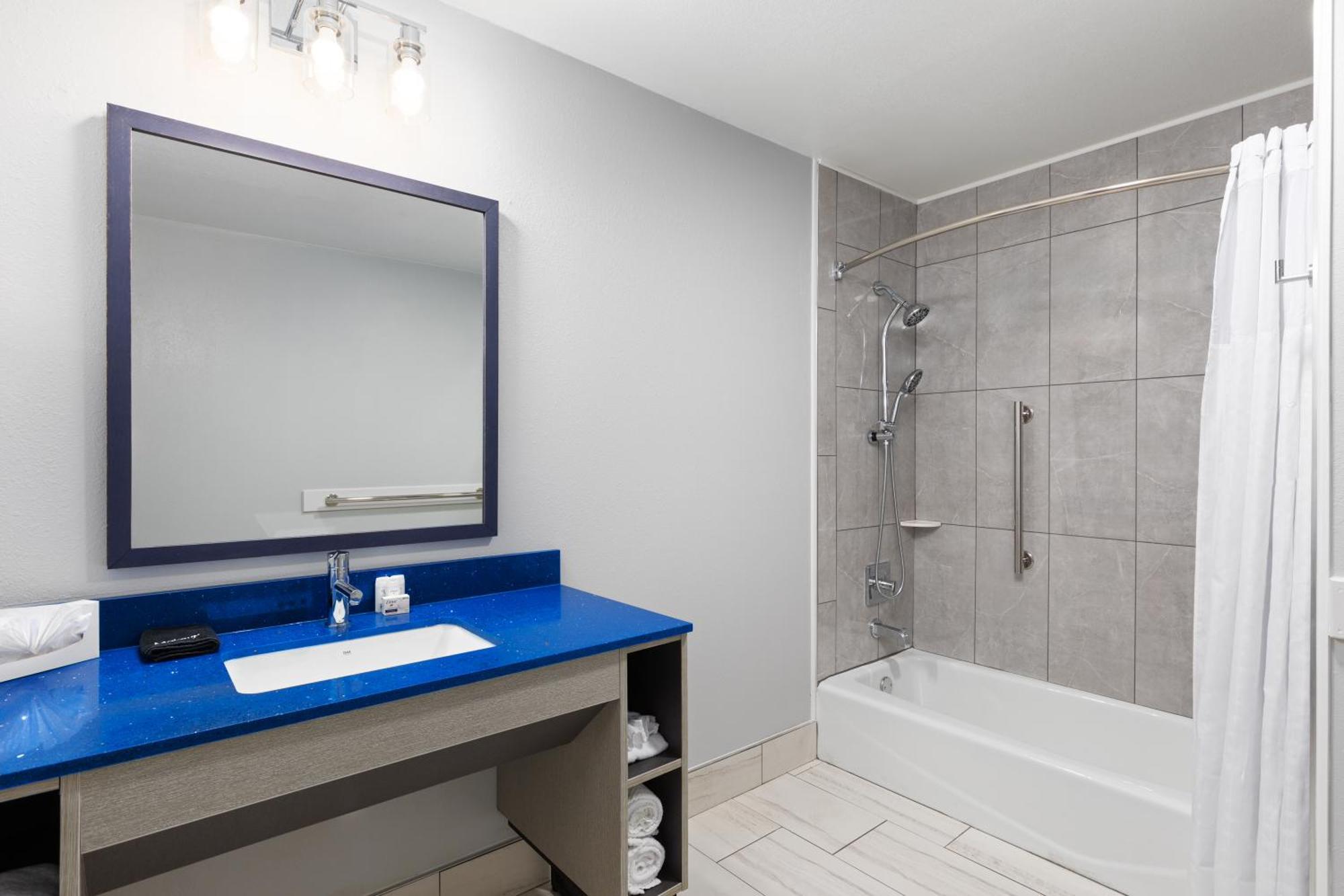 King Room Tub Grab Bars Mobility or Hearing Accessible Non-Smoking