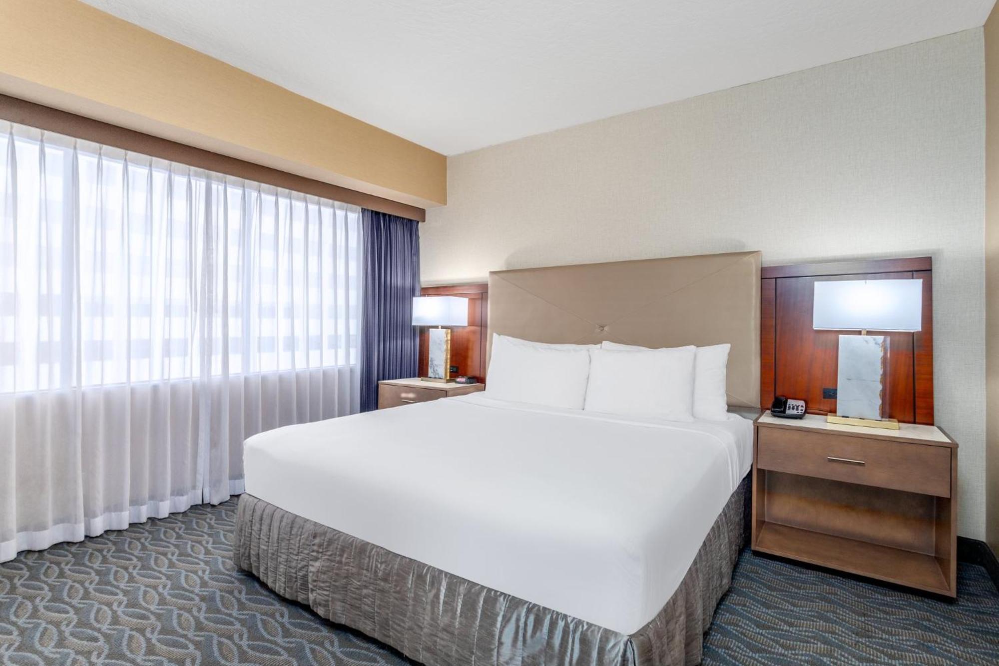 Junior King Suite