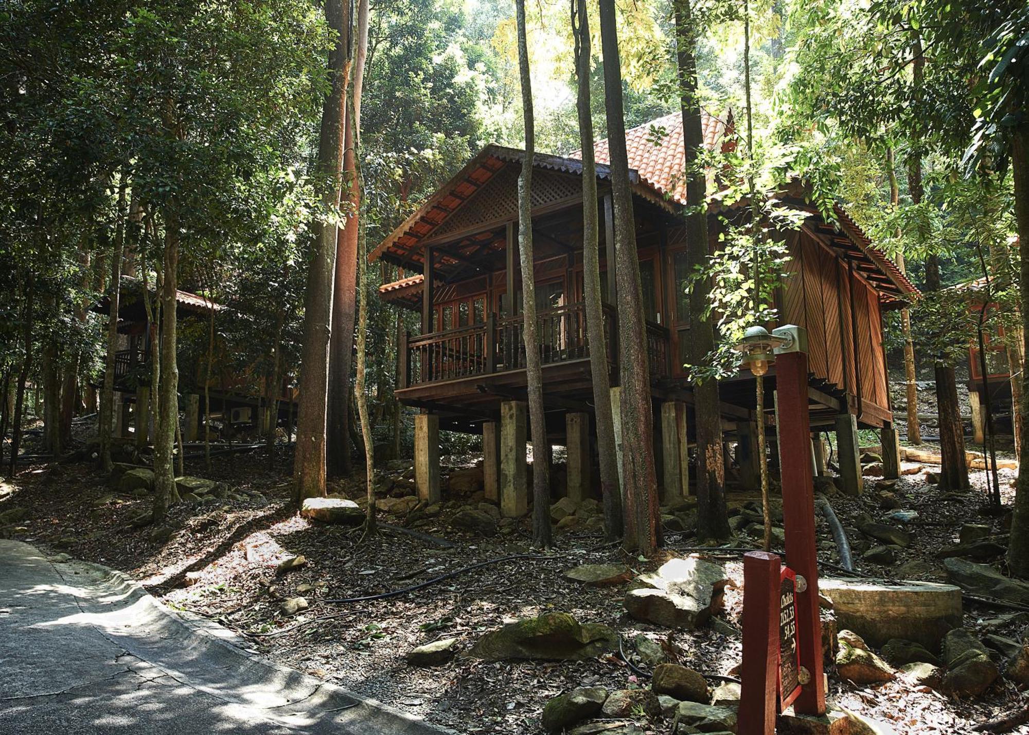 Rainforest Studio