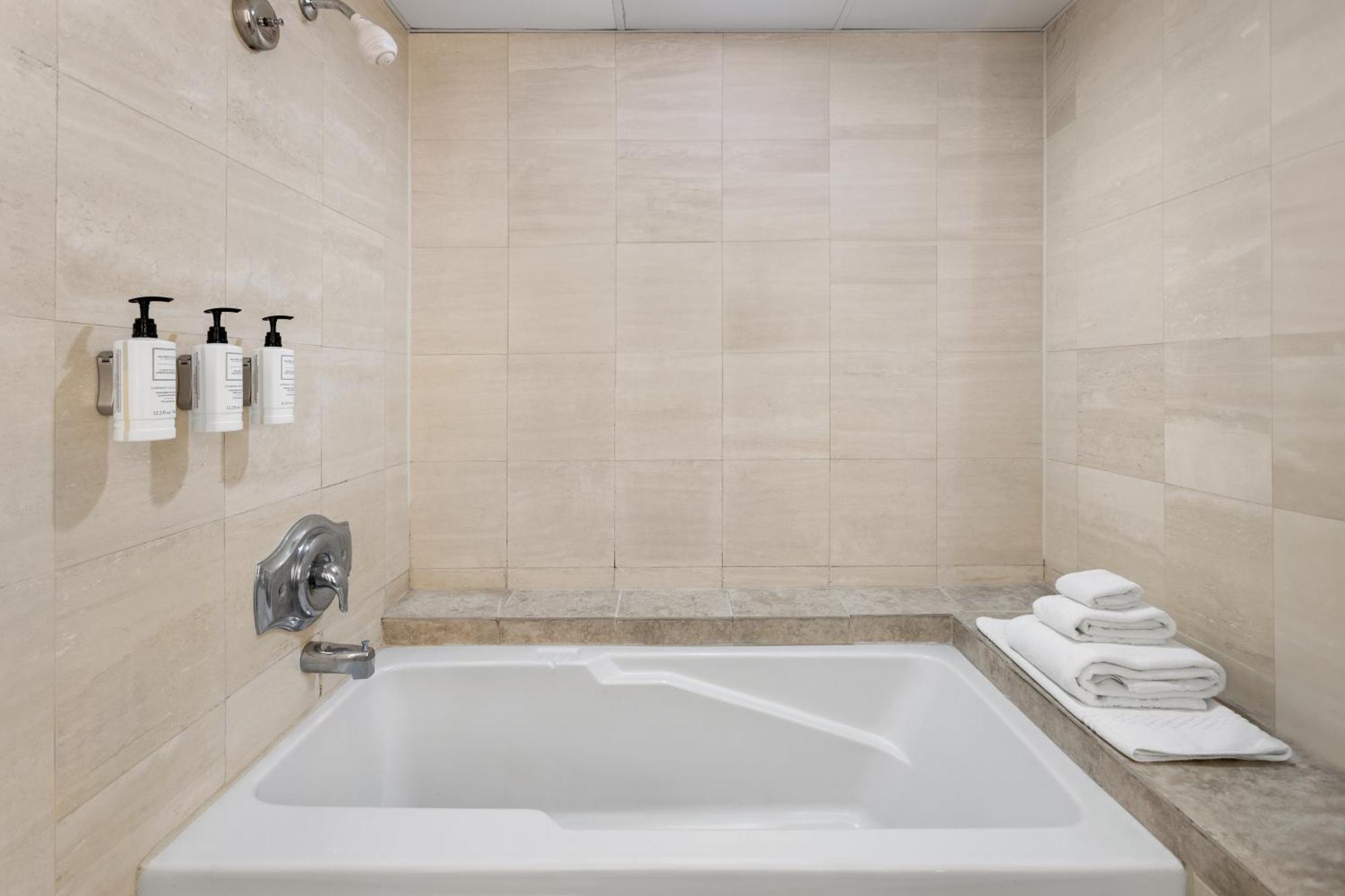 Presidential King Suite