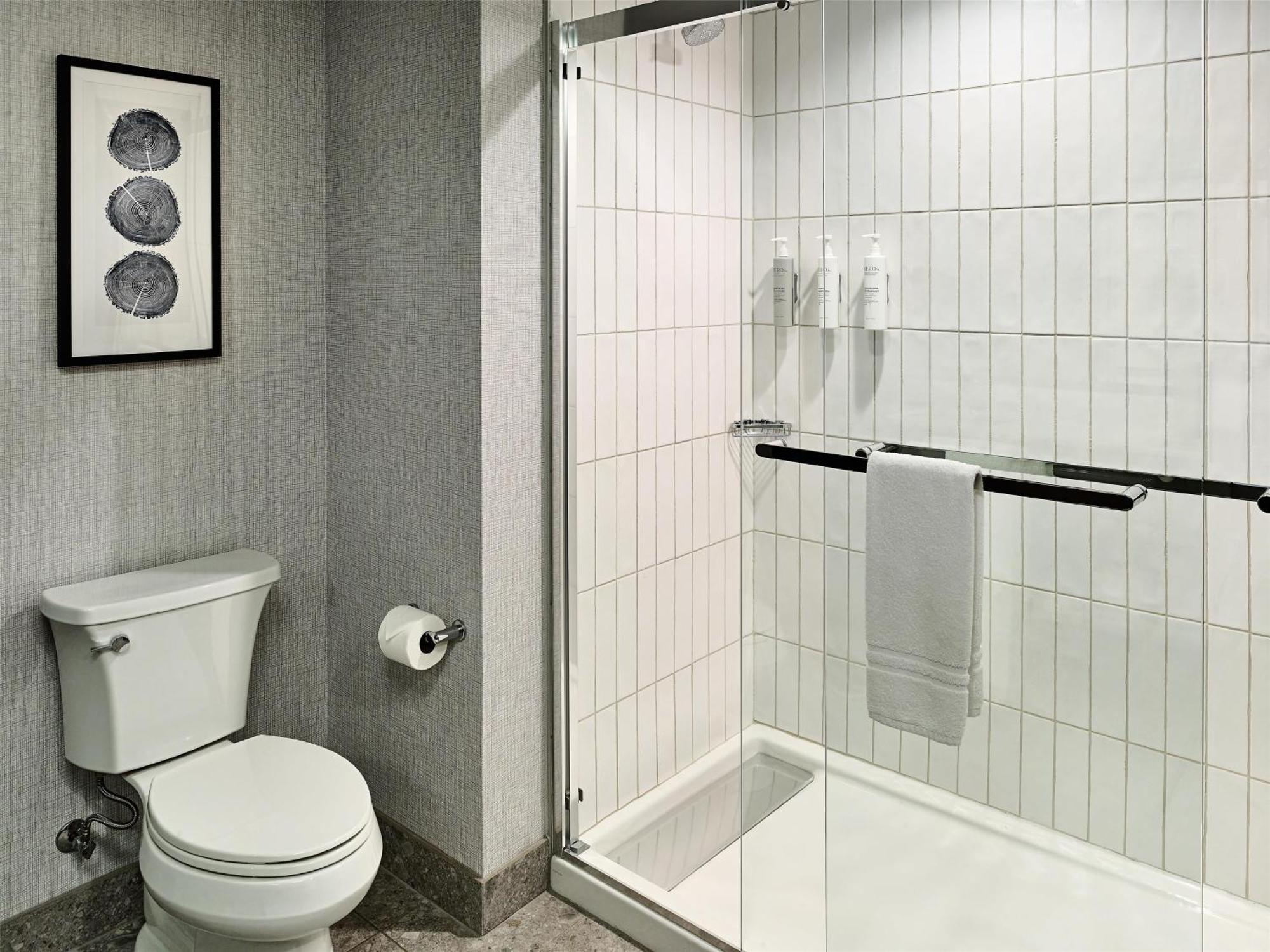 King Studio Suite
