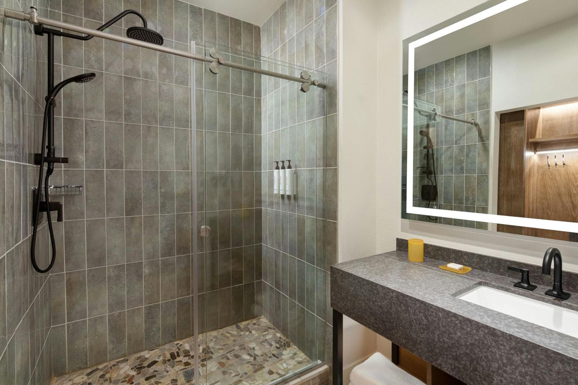 Standard King Room Mobility or Hearing Accessible Transfer Shower