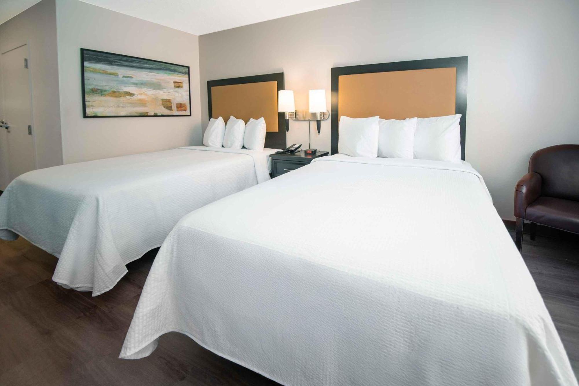 Deluxe Studio Two Queen Beds Disability Access or Non-Smoking