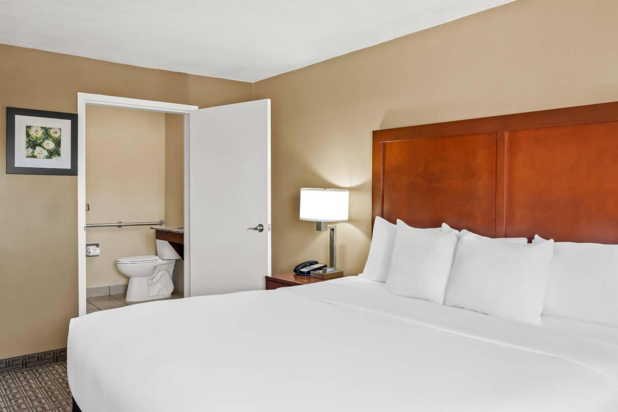 King Room Disability Access or Non-Smoking