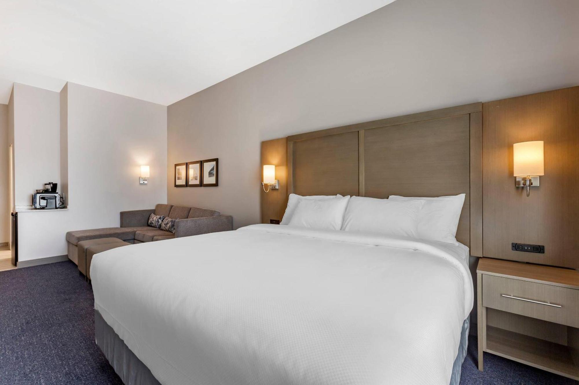 1 King Bed 1 Room Suite Sofabed