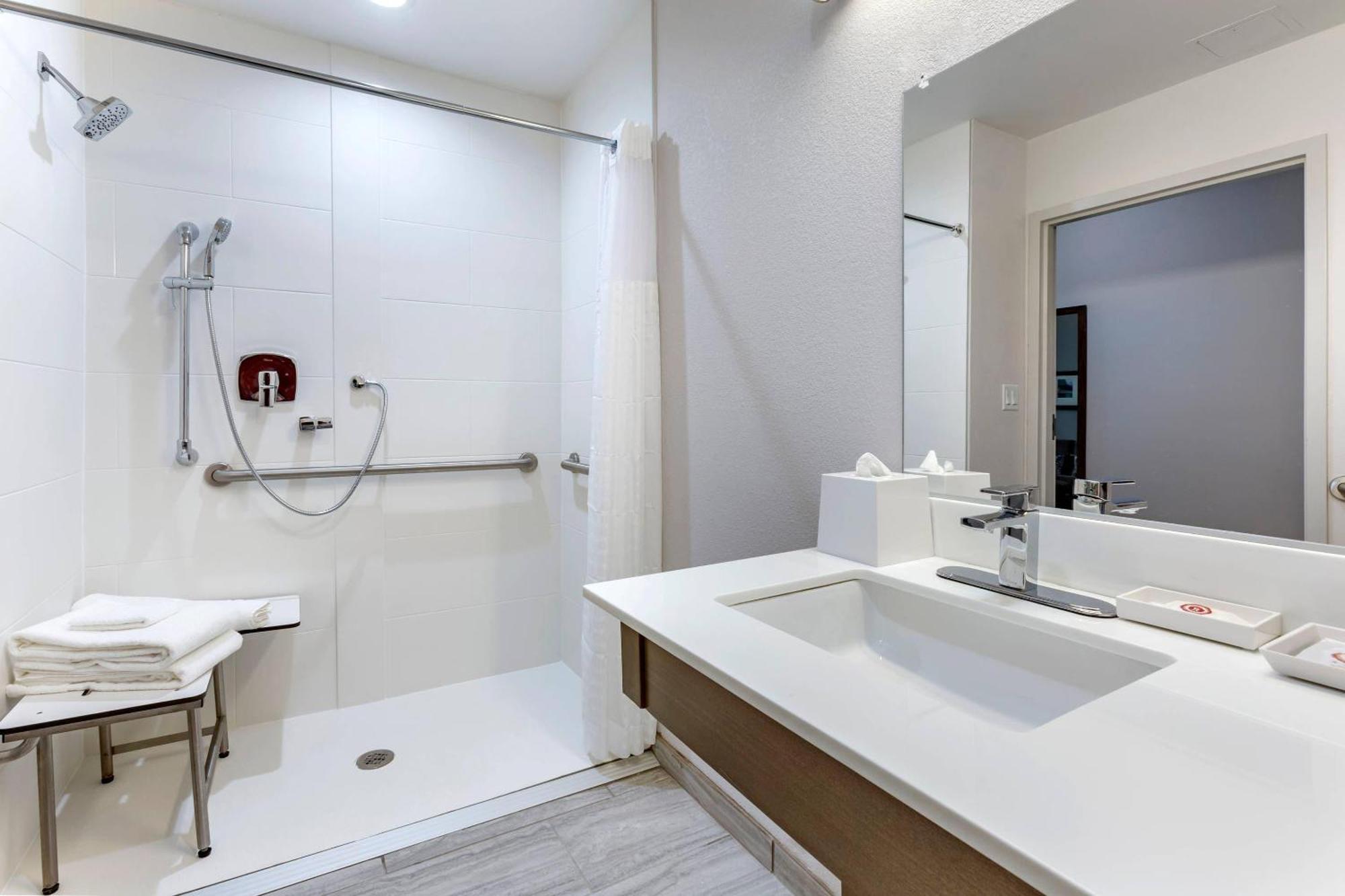1 King Bed 1 Room Suite Mobility Accessible Sofabed