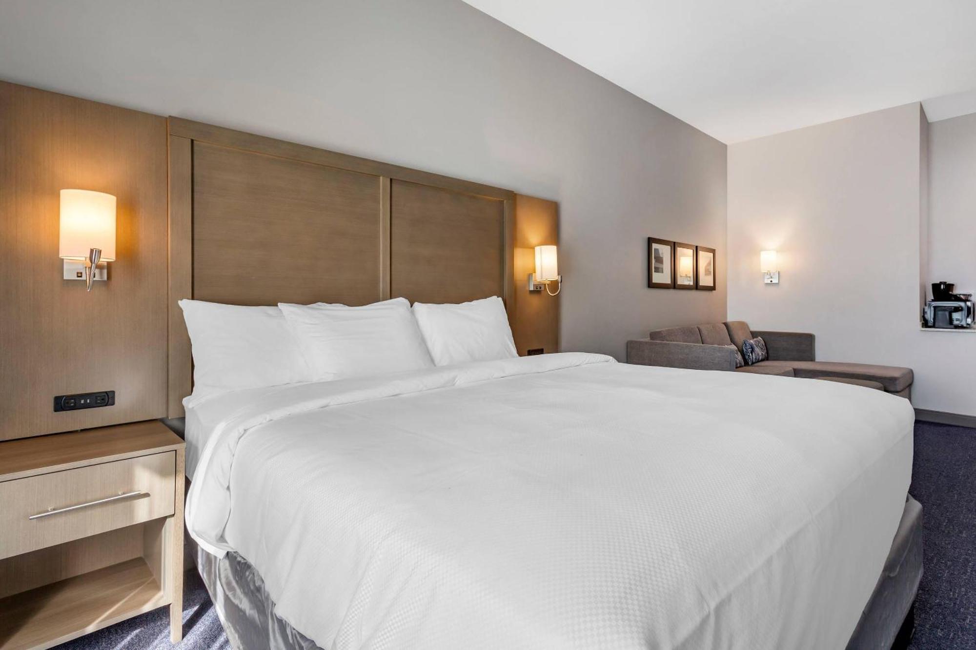 1 King Bed 1 Room Suite Sofabed