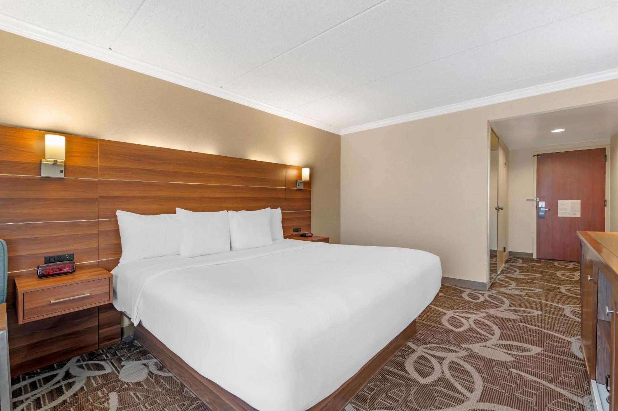 Standard Room 1 King Bed Non Smoking