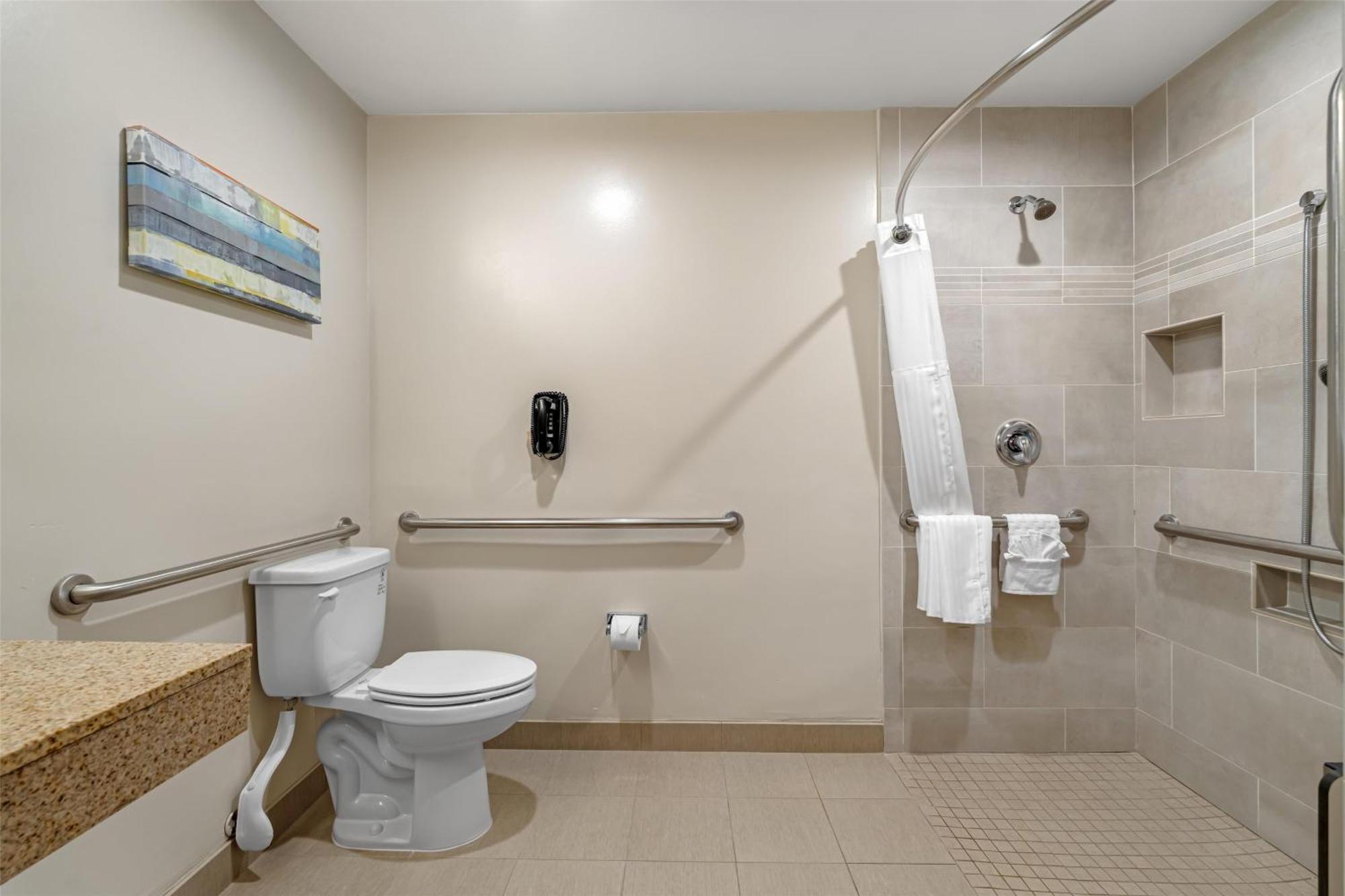 King Room Roll Shower Disability Access