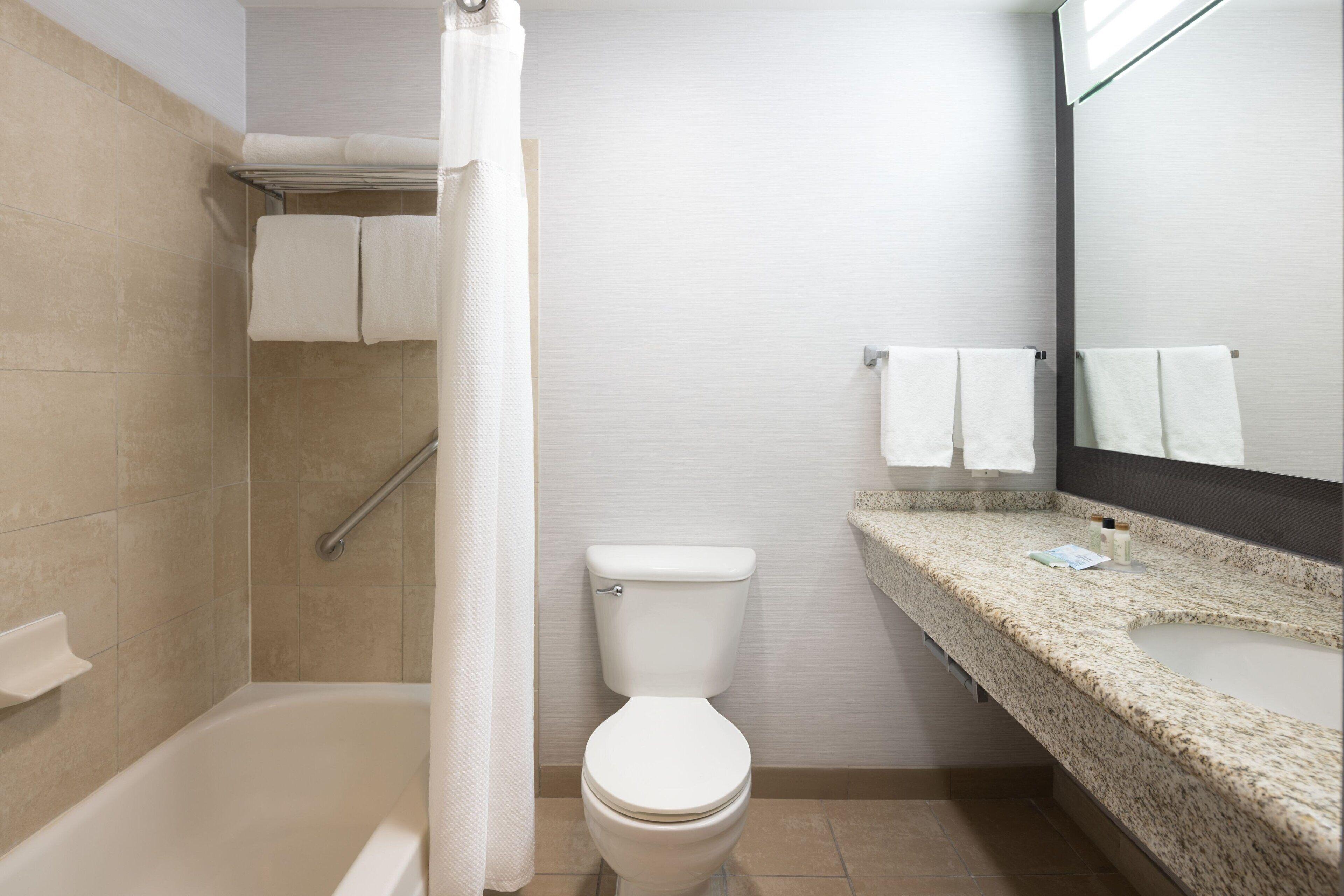 One-Bedroom Apartment King Bed Bathtub Sofa Bed Mobility Access or Hearing Accessible