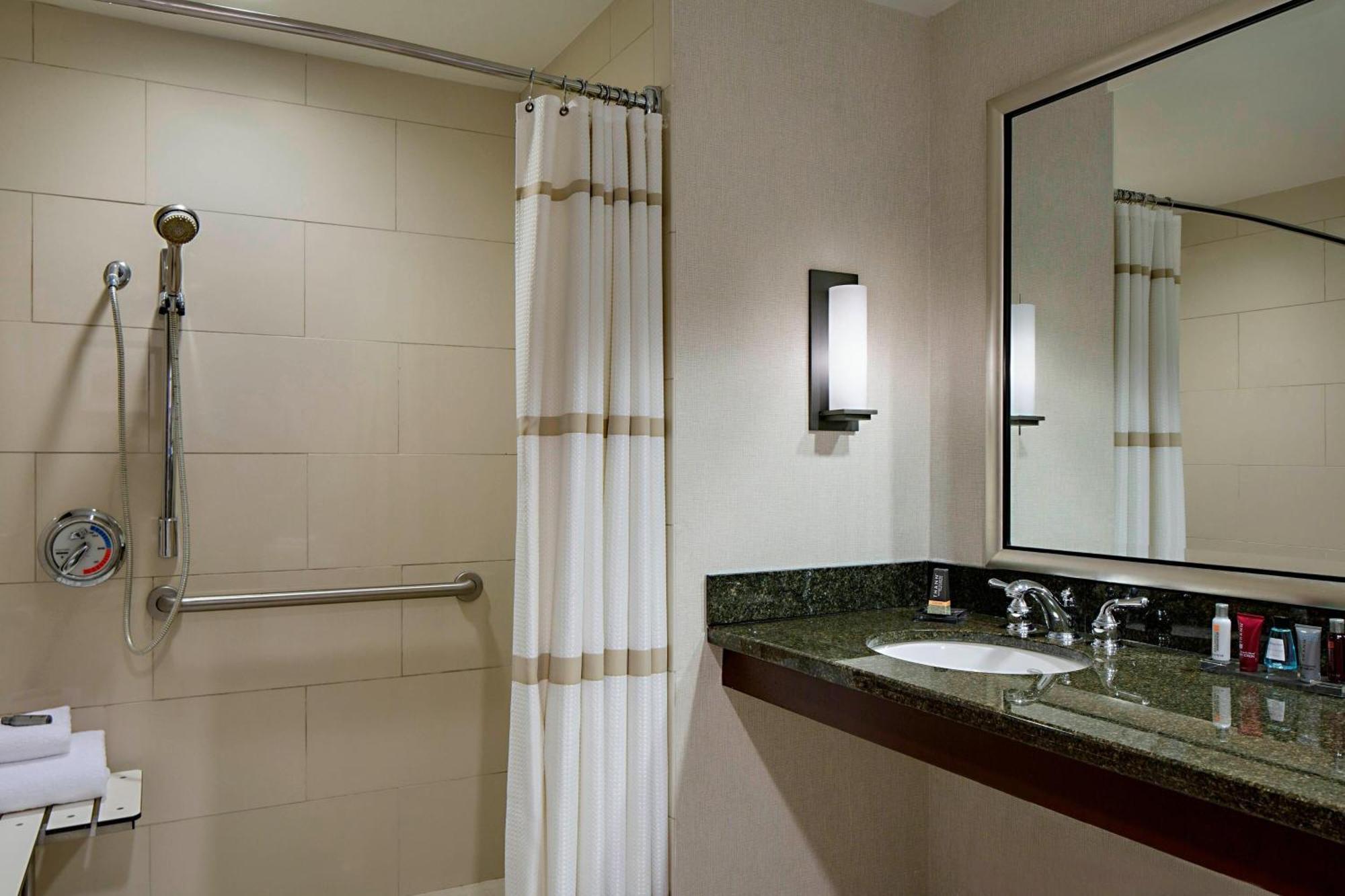 One-Bedroom King Suite