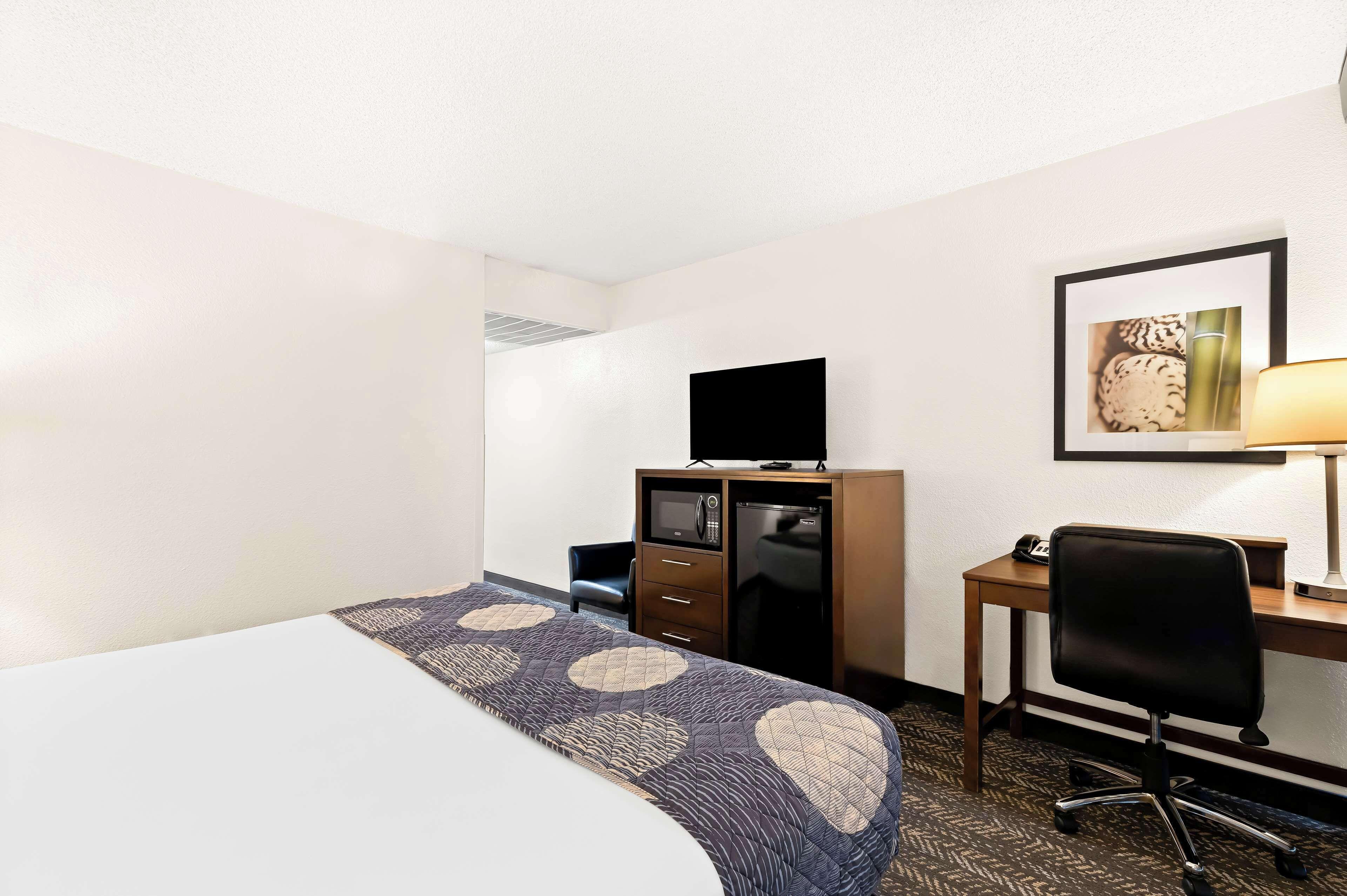 Standard King Room