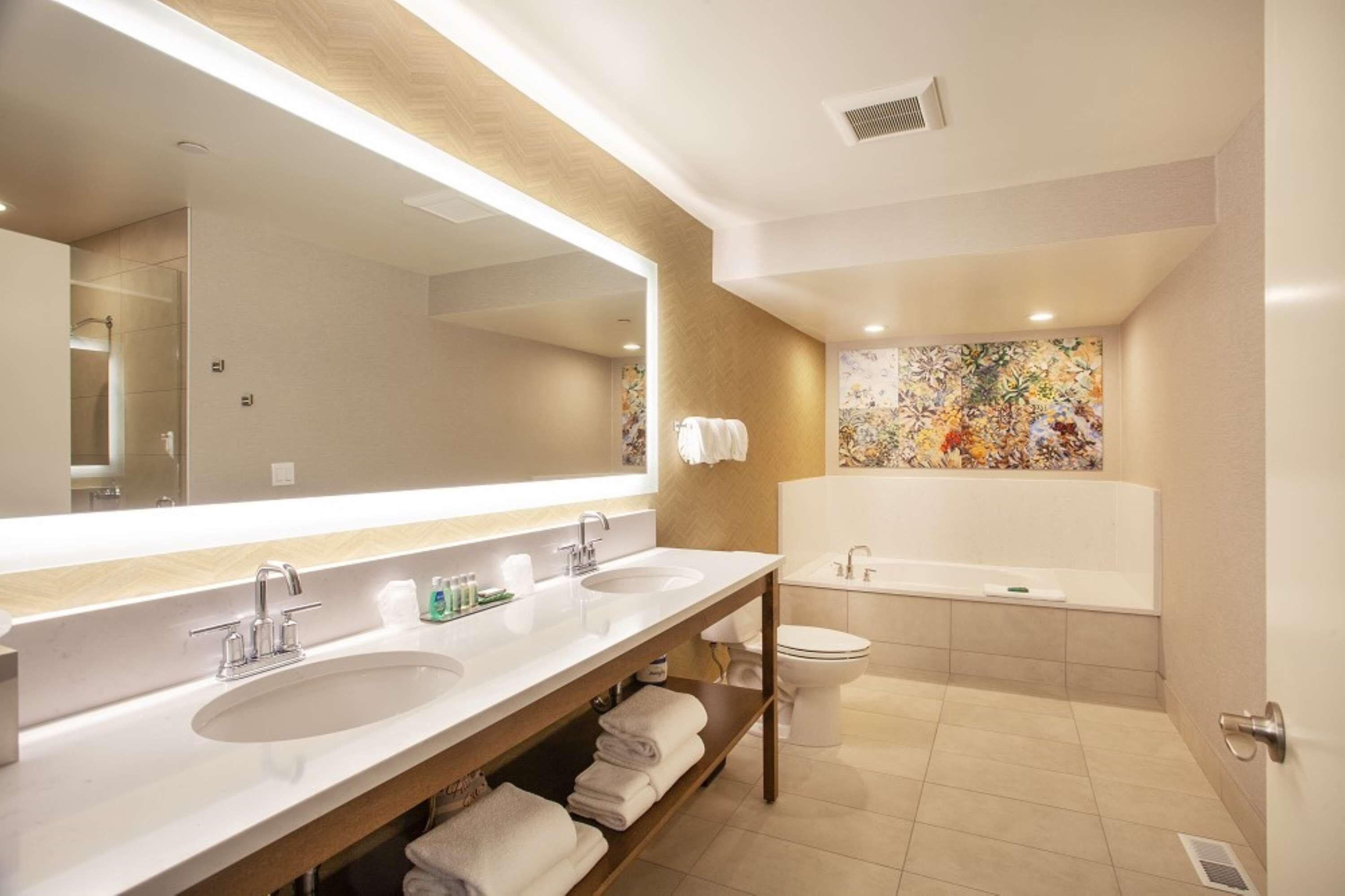 Presidential Loft King Suite Spa Bath River View Patio Non-Smoking