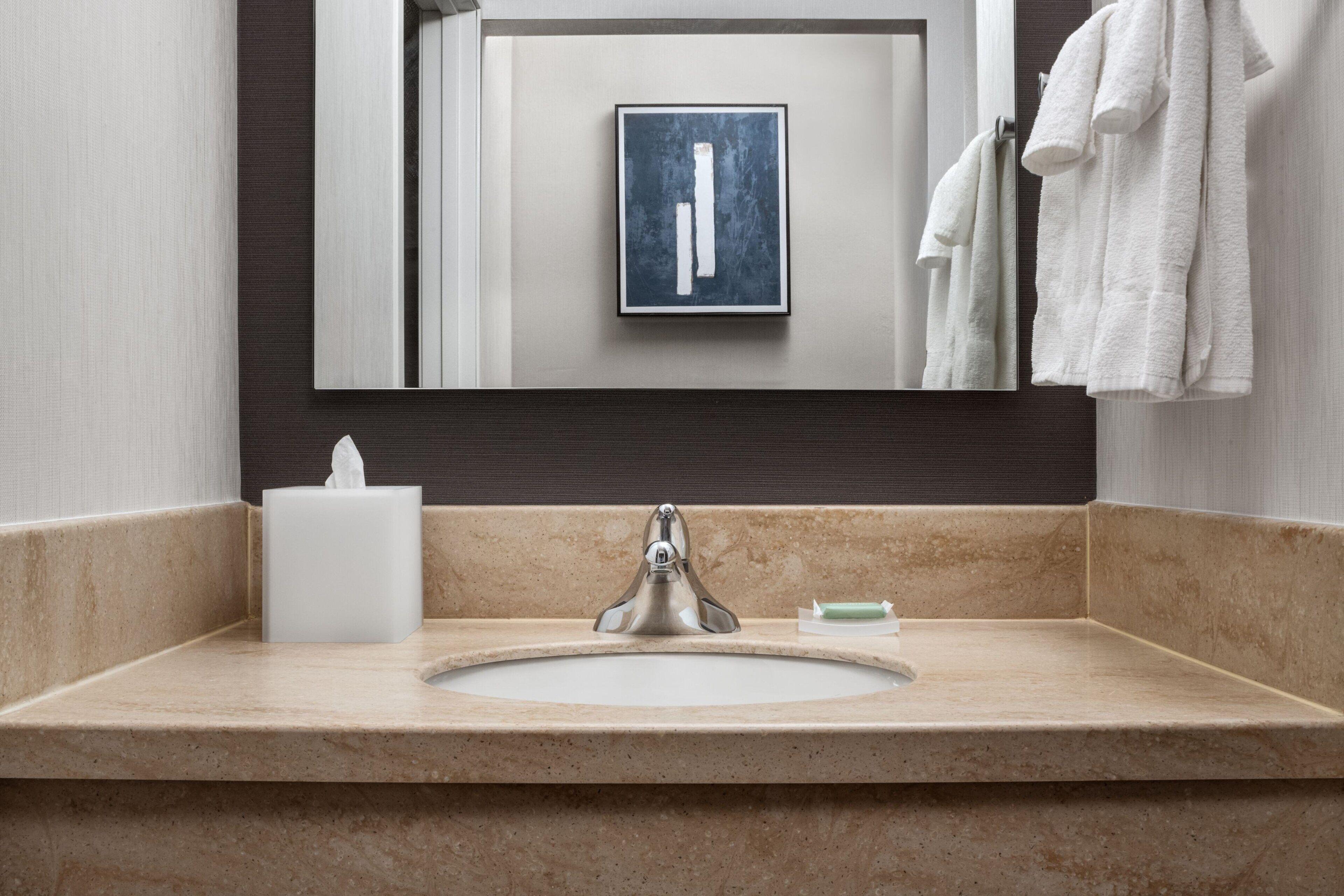 King Room Roll Shower Mobility Accessible