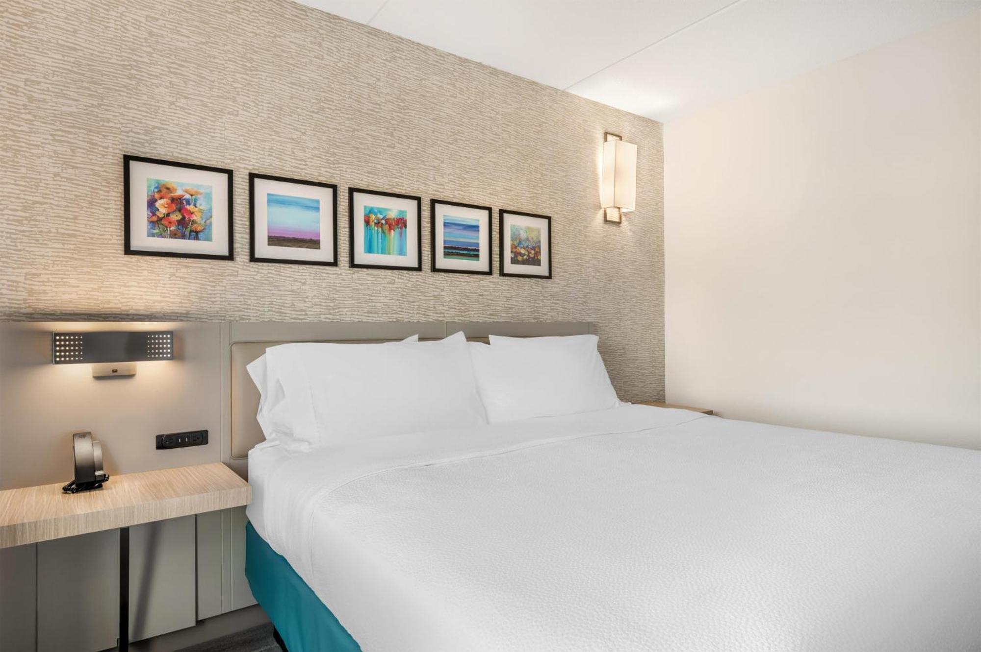 One-Bedroom King Suite Twin Sofa Bed