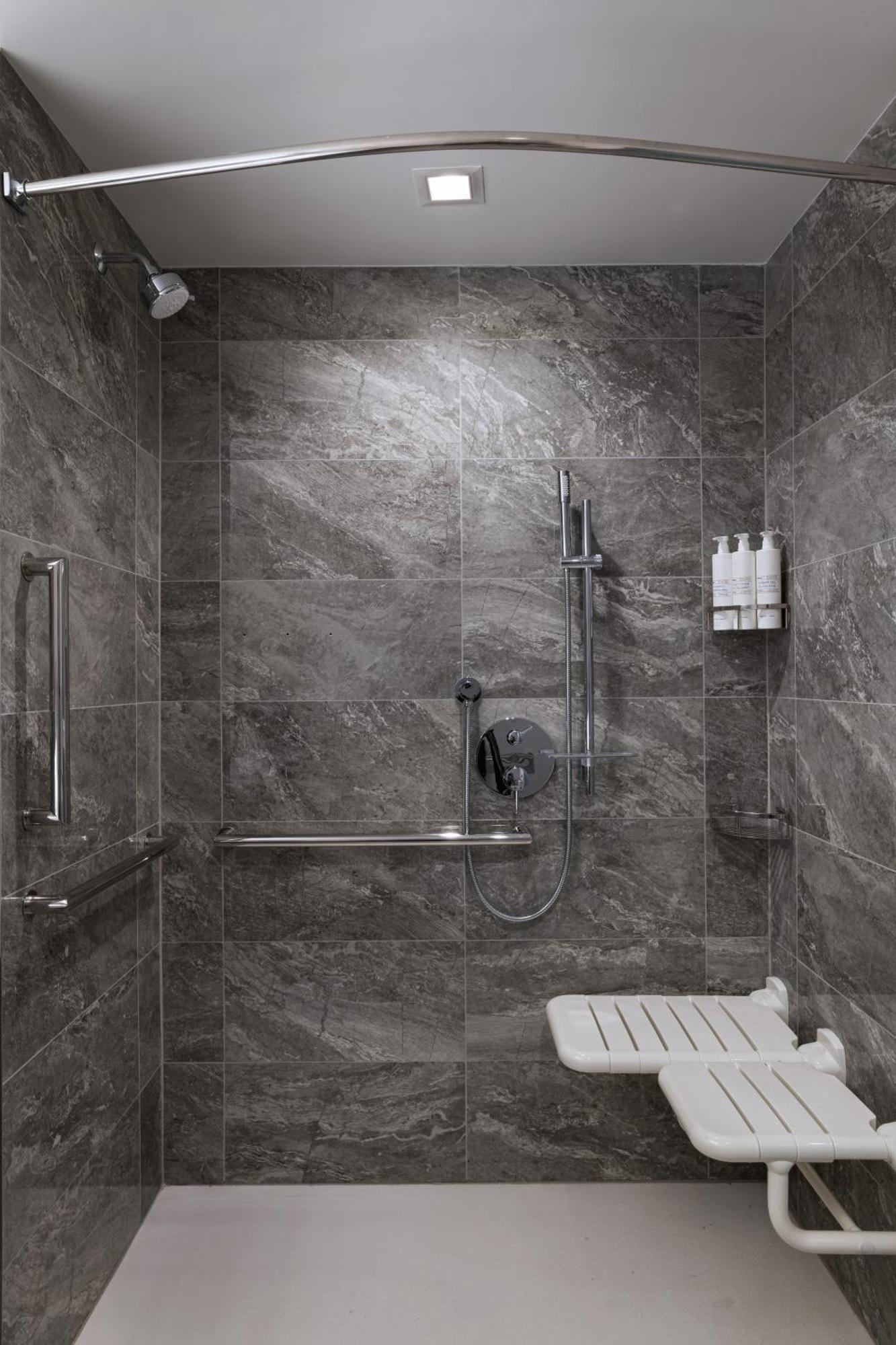 King Suite City View Transfer Shower Mobility Accessible