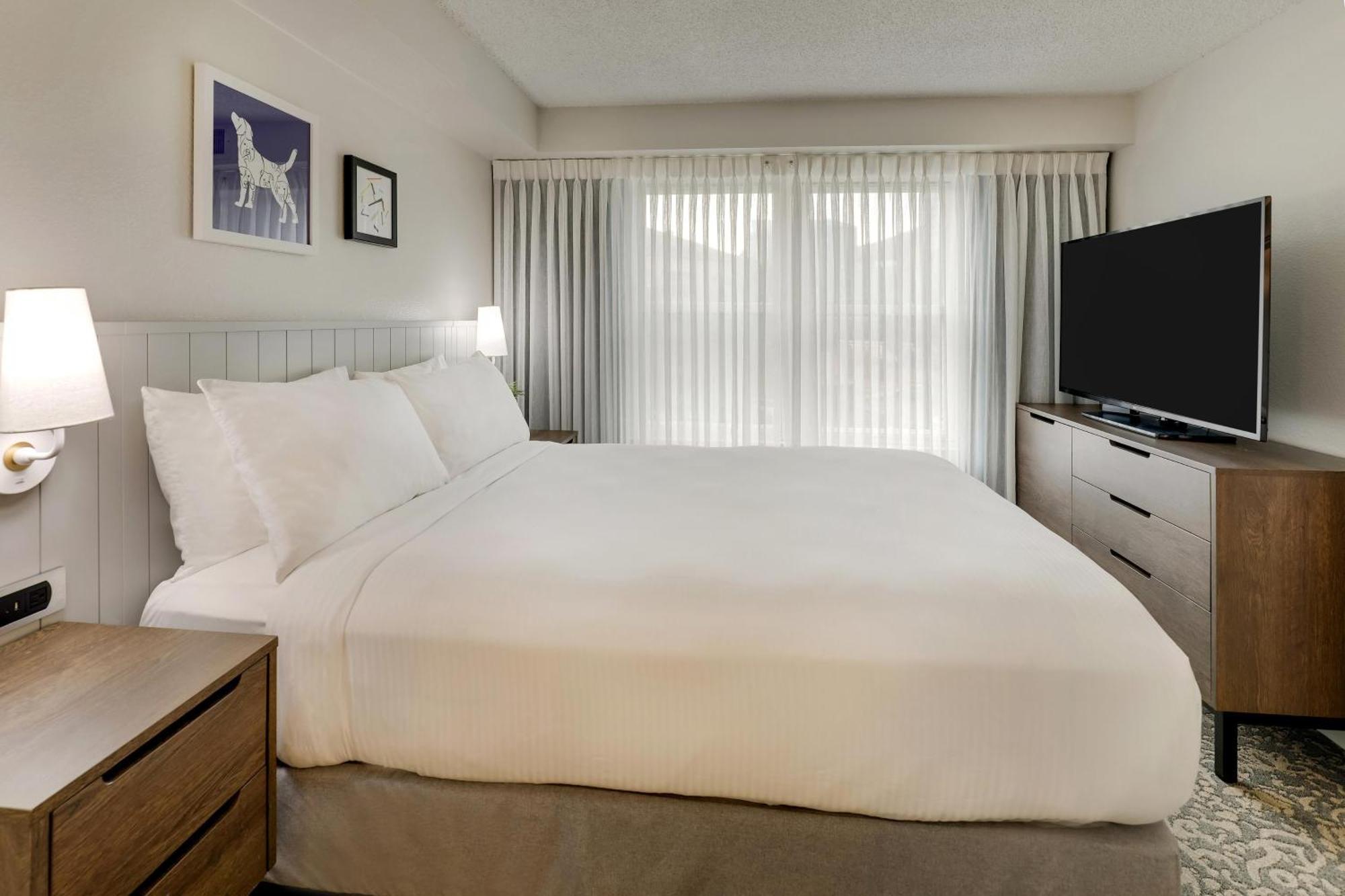 One-Bedroom King Suite