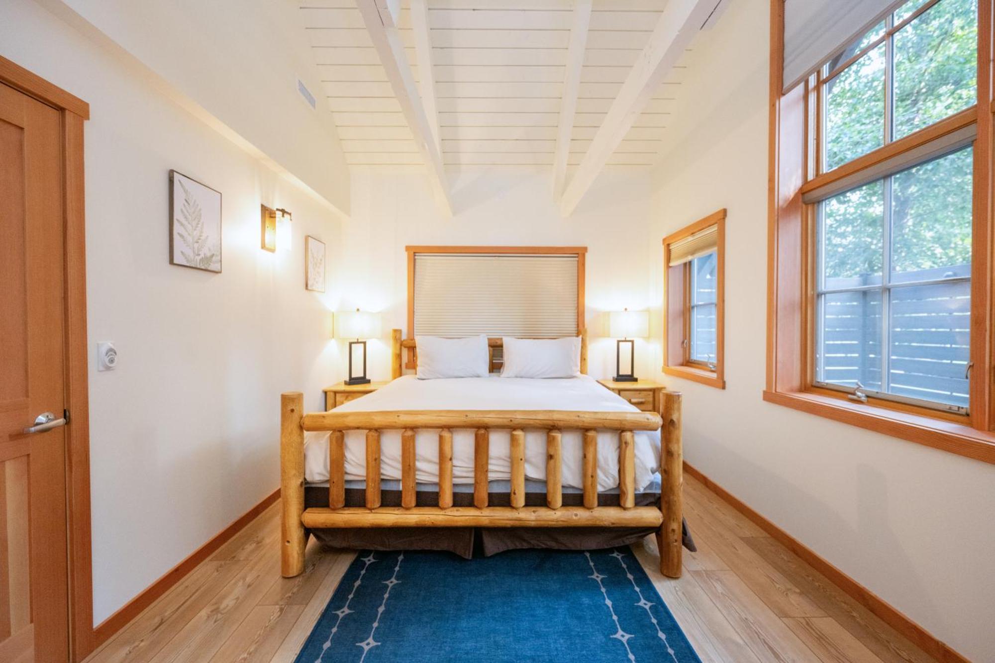 Stellar's Jay Cabin