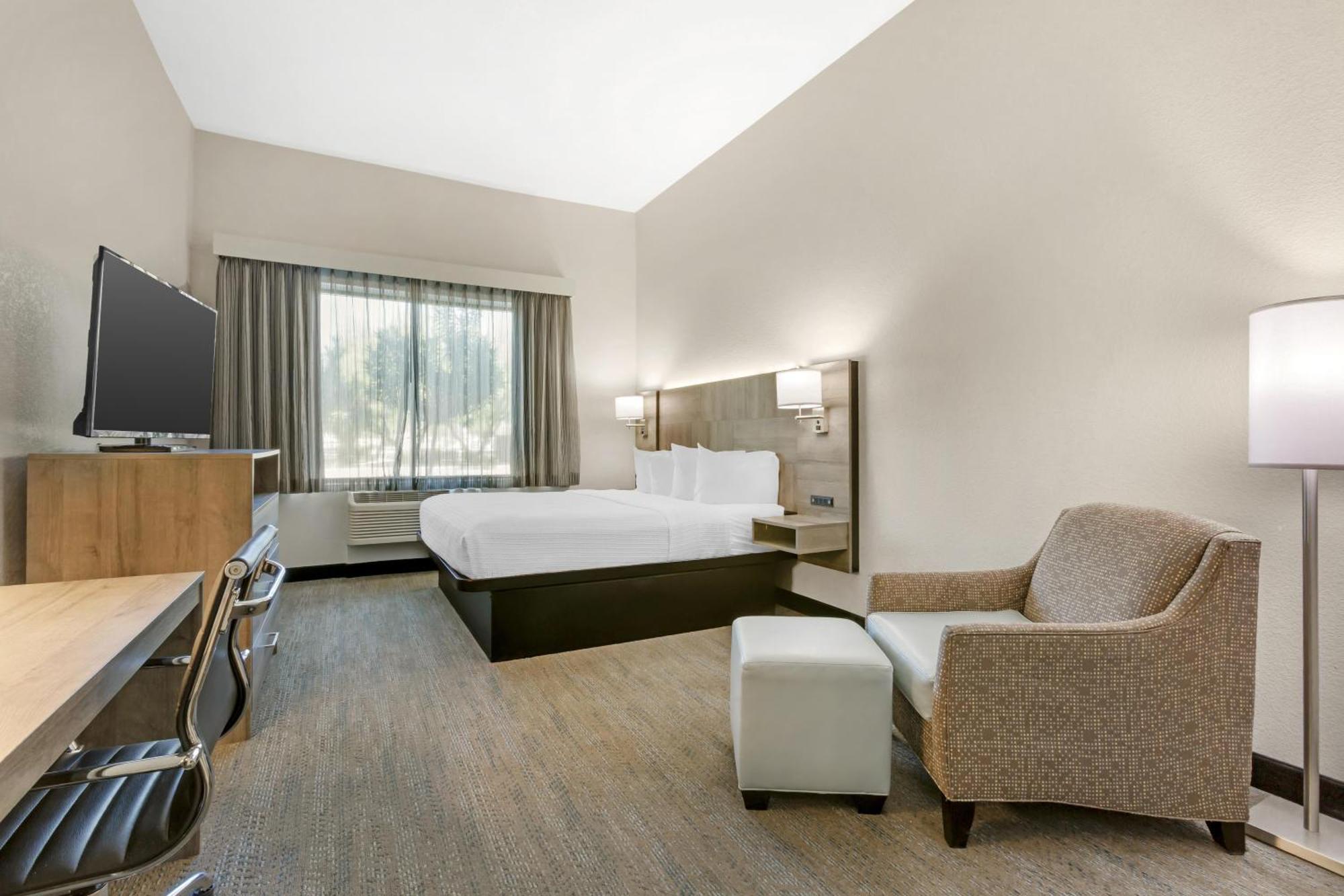 One-Bedroom King Suite Sofa Bed Kitchenette Non-Smoking
