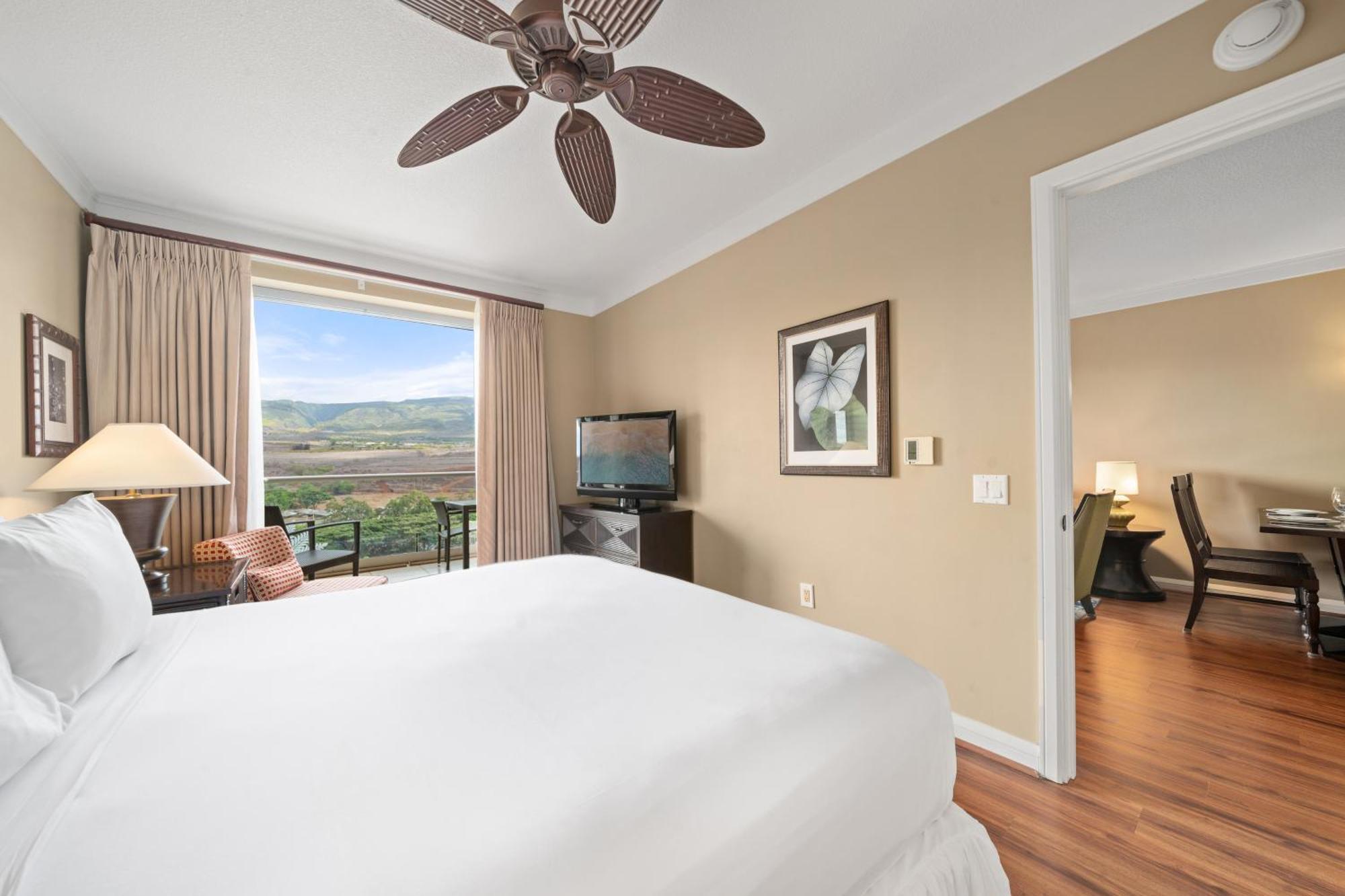 1 Bedroom Mountain View