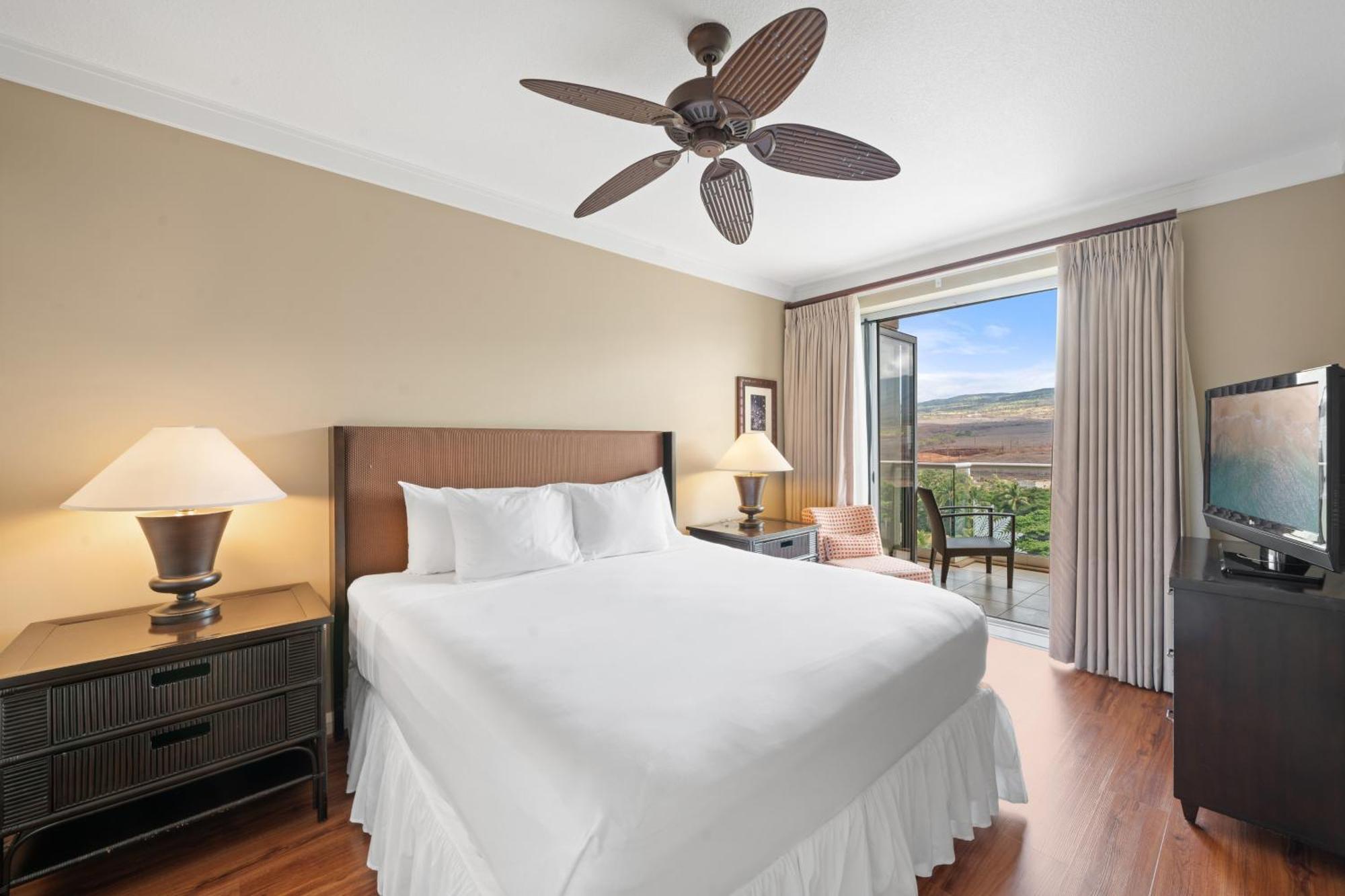 1 Bedroom Mountain View