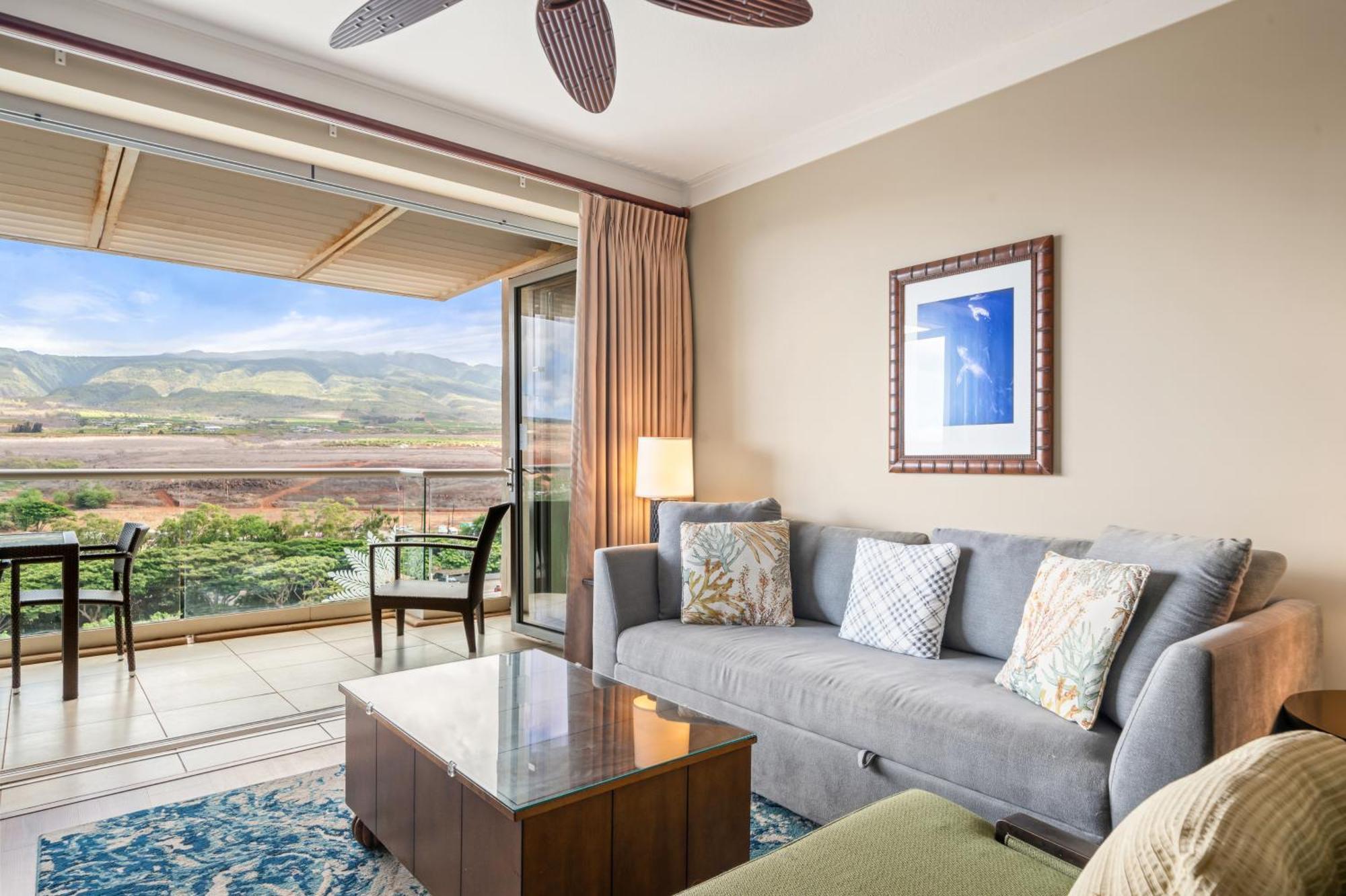 1 Bedroom Mountain View