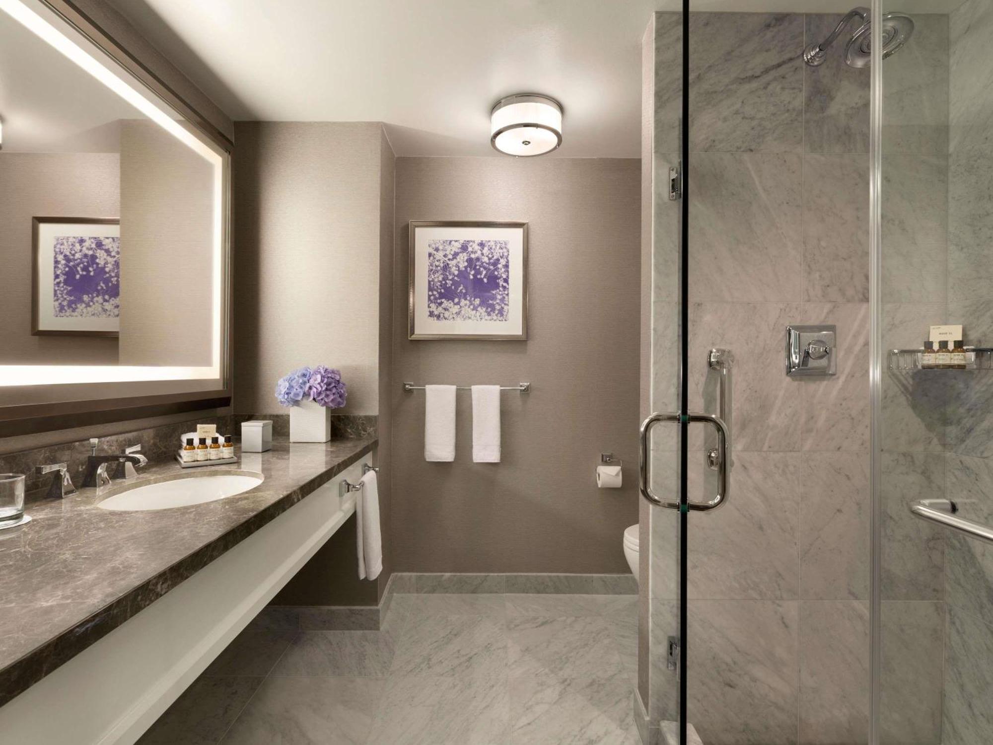 Deluxe King Room Roll Shower Disability Access