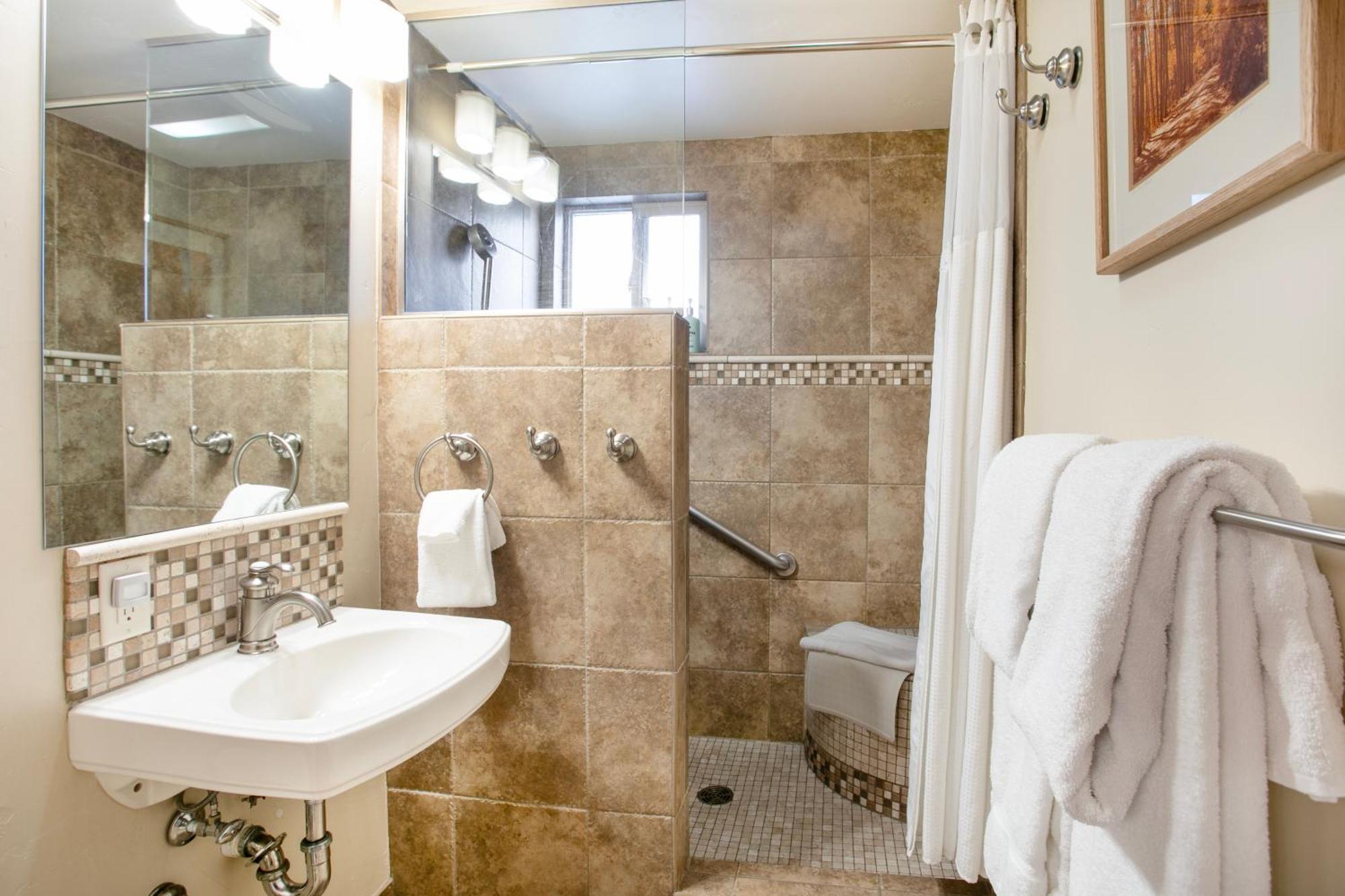 Deluxe One-Bedroom Apartment