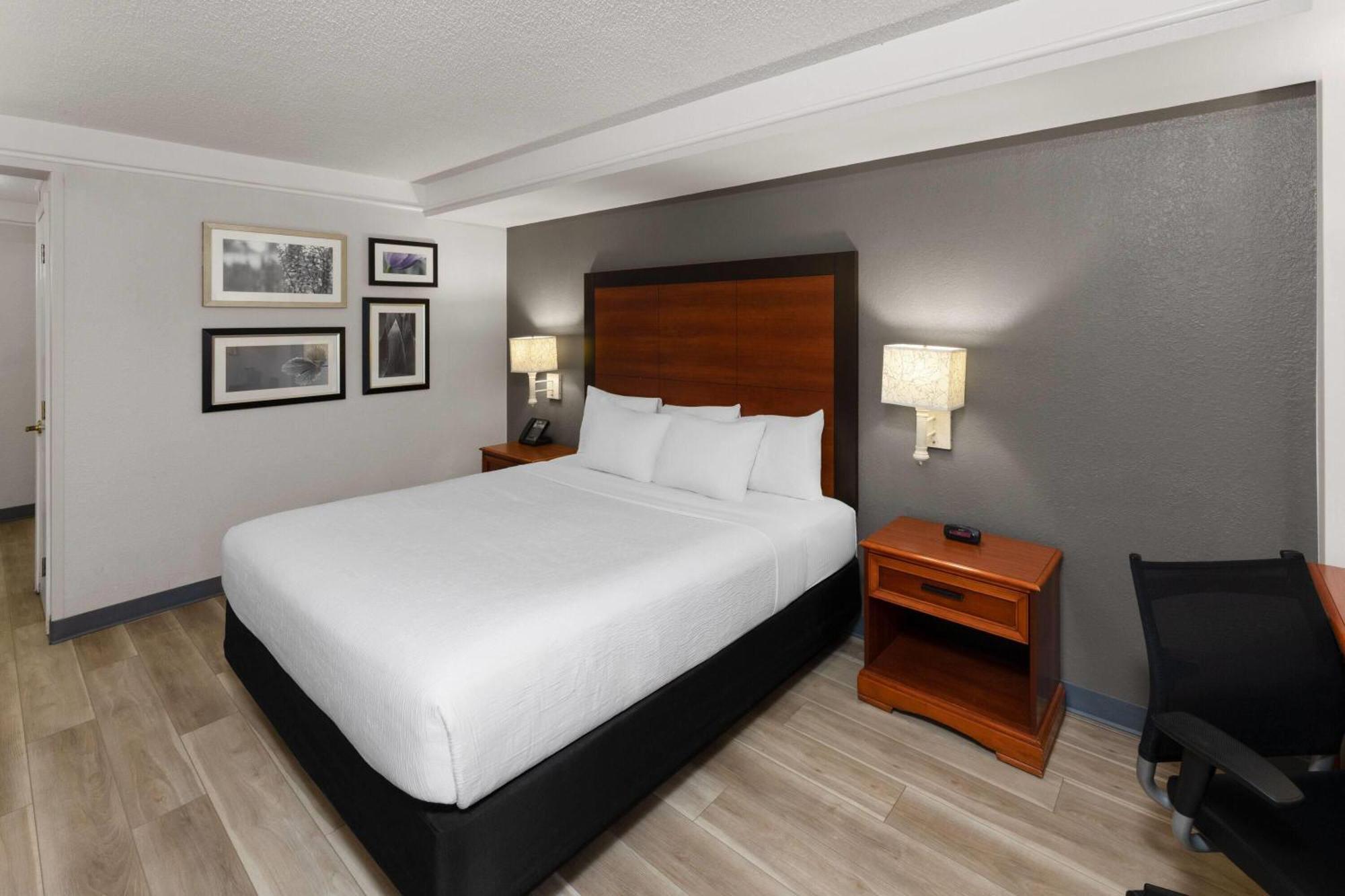 Deluxe King Room