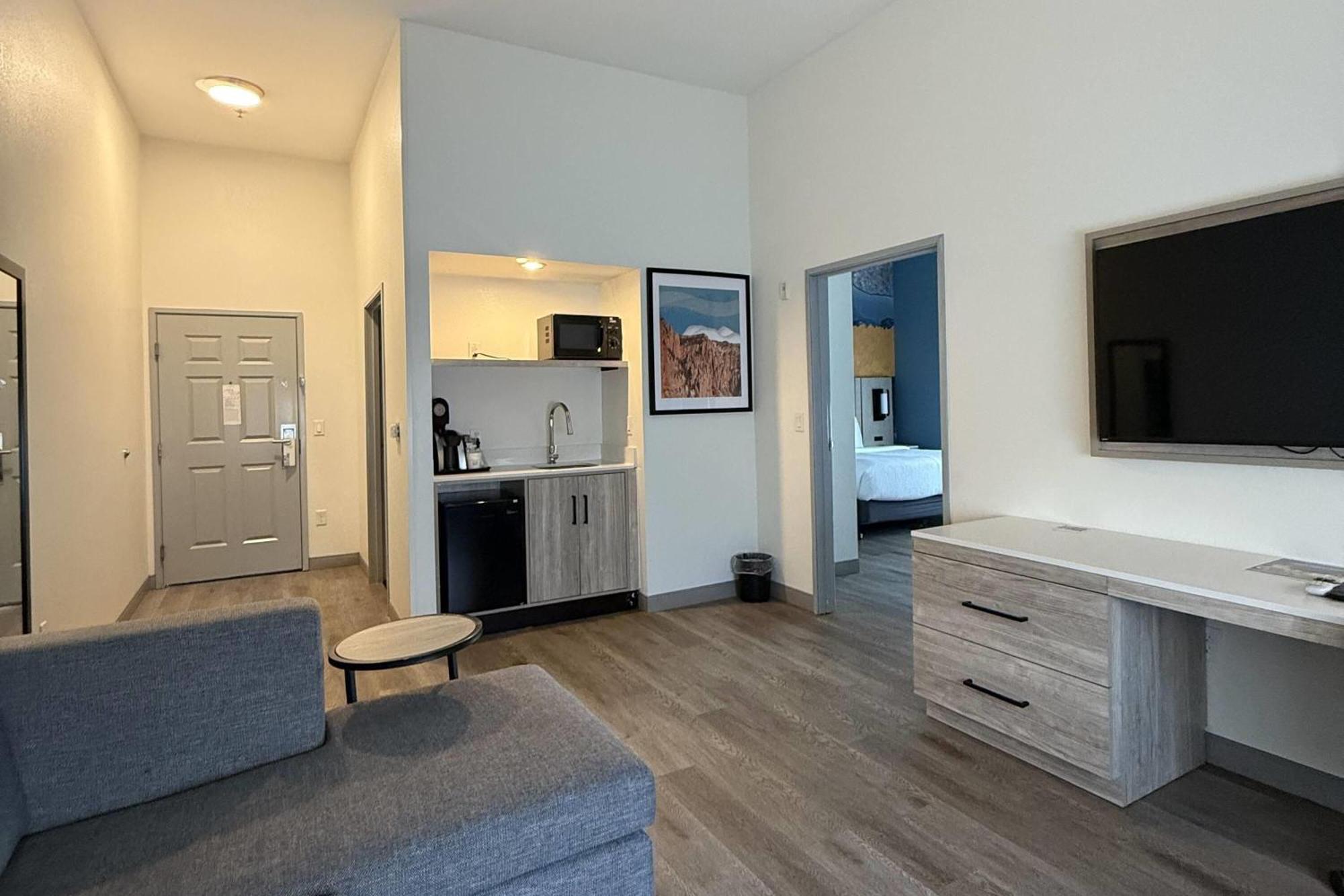 1 King Bed 1 Sleeper Sofa One-Bedroom Suite Non-Smoking