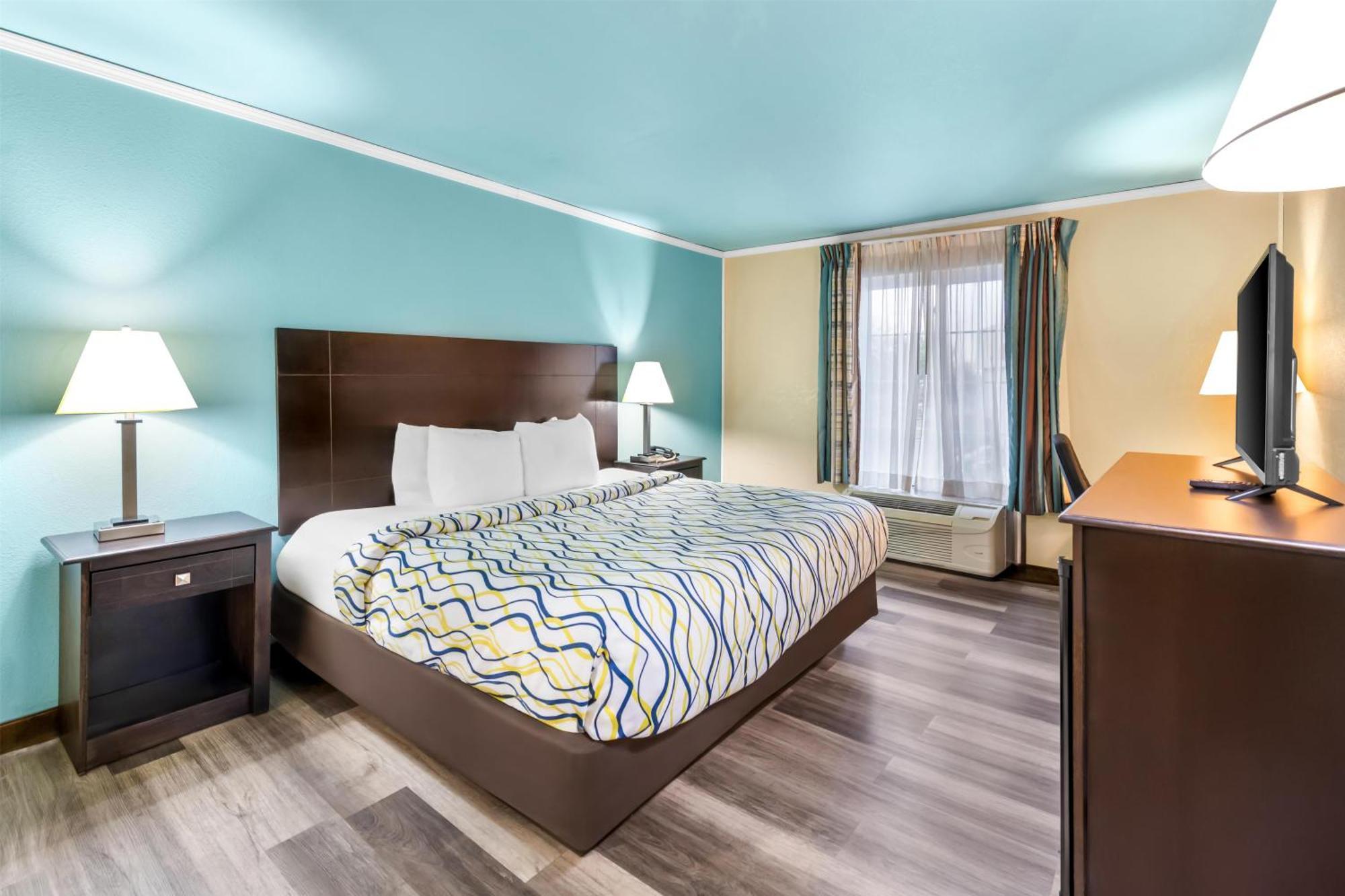 King Room Pet-Friendly or Non-Smoking