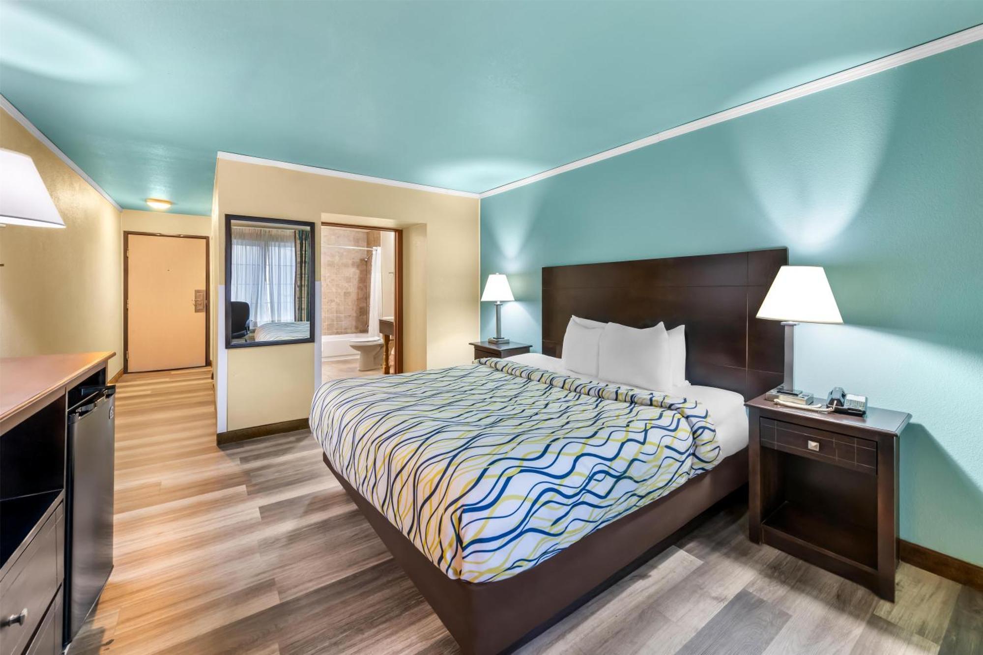 King Room Pet-Friendly or Non-Smoking