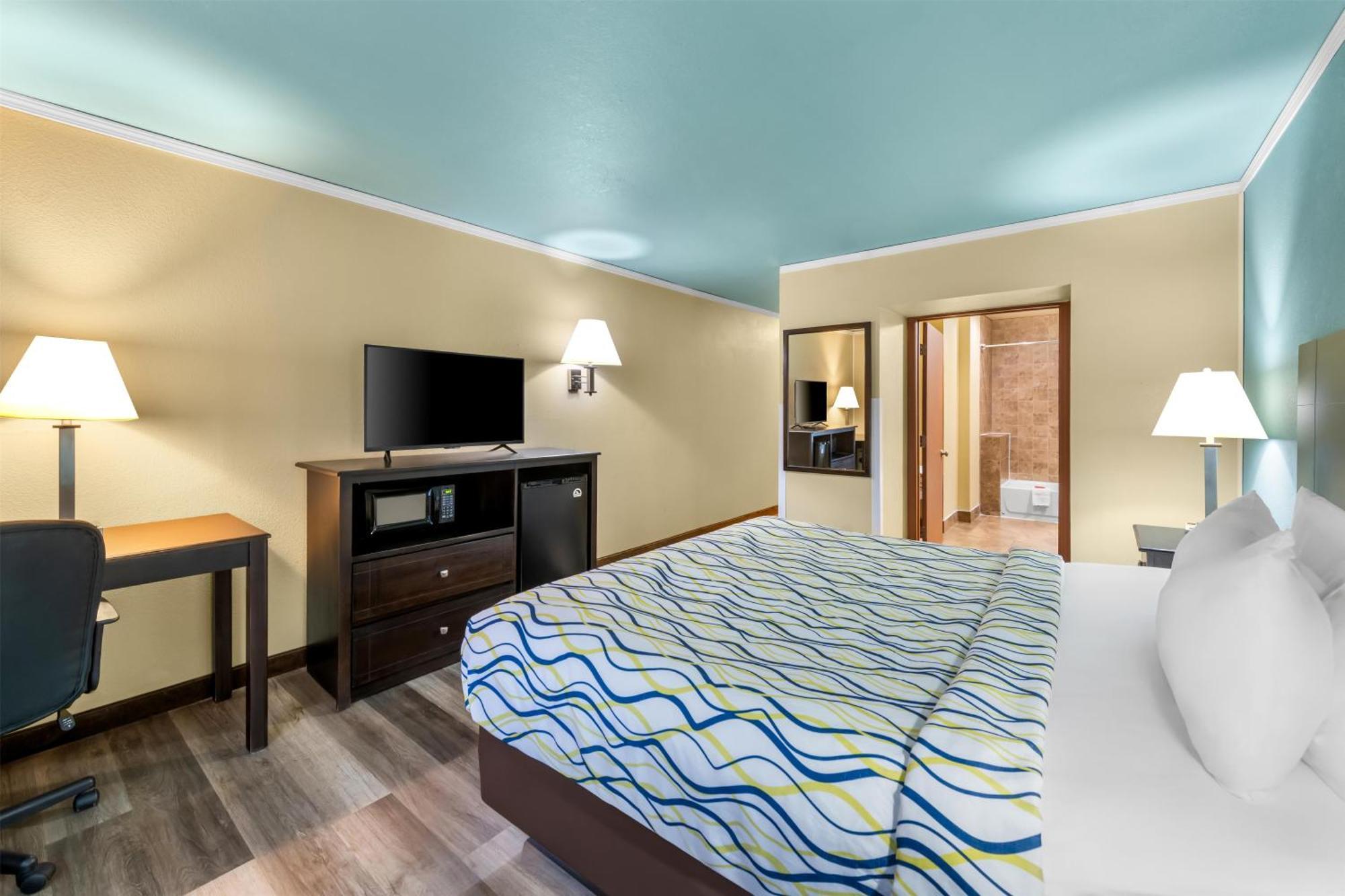 King Room Pet-Friendly or Non-Smoking