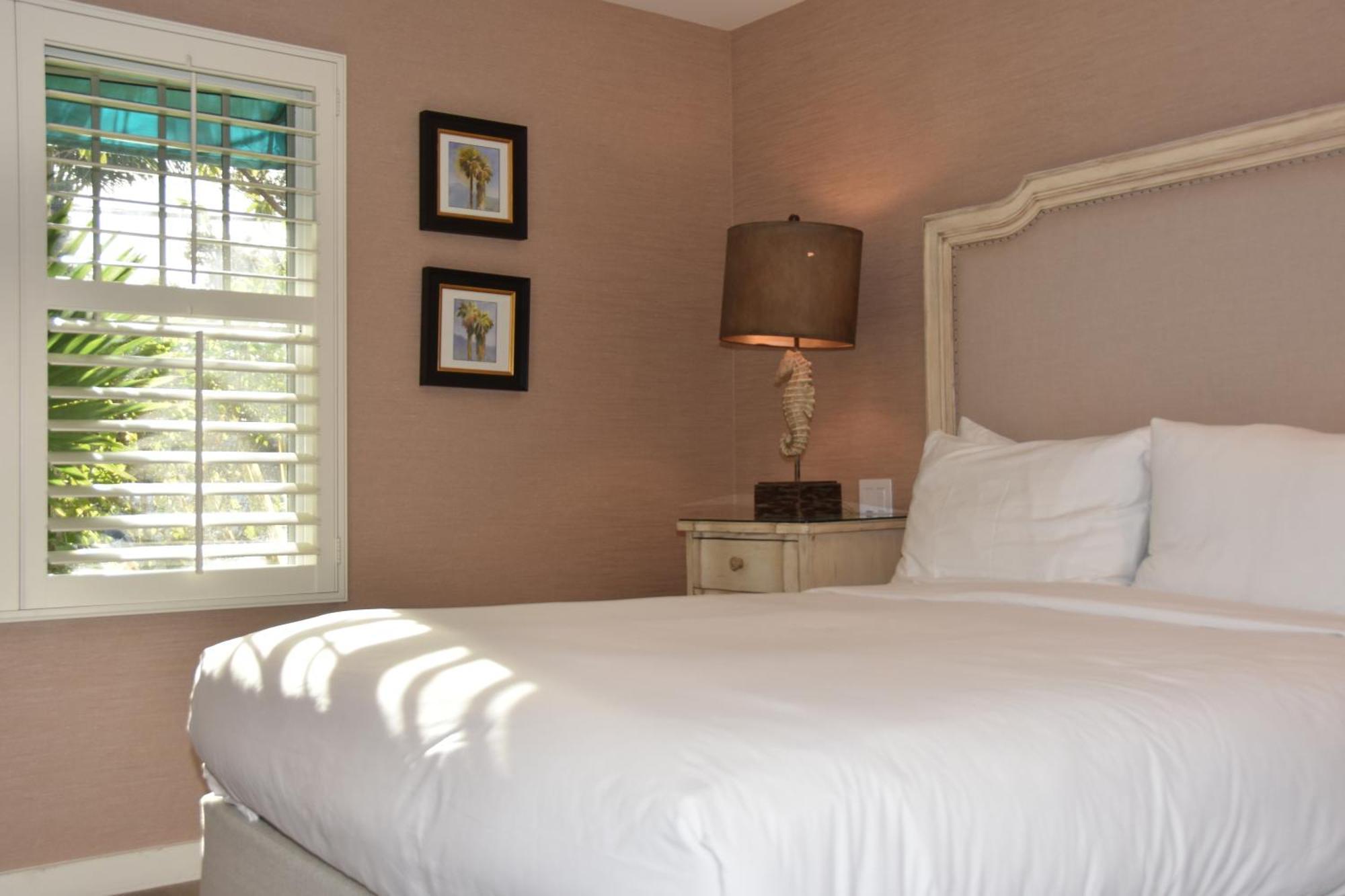Palm Accessible Suite