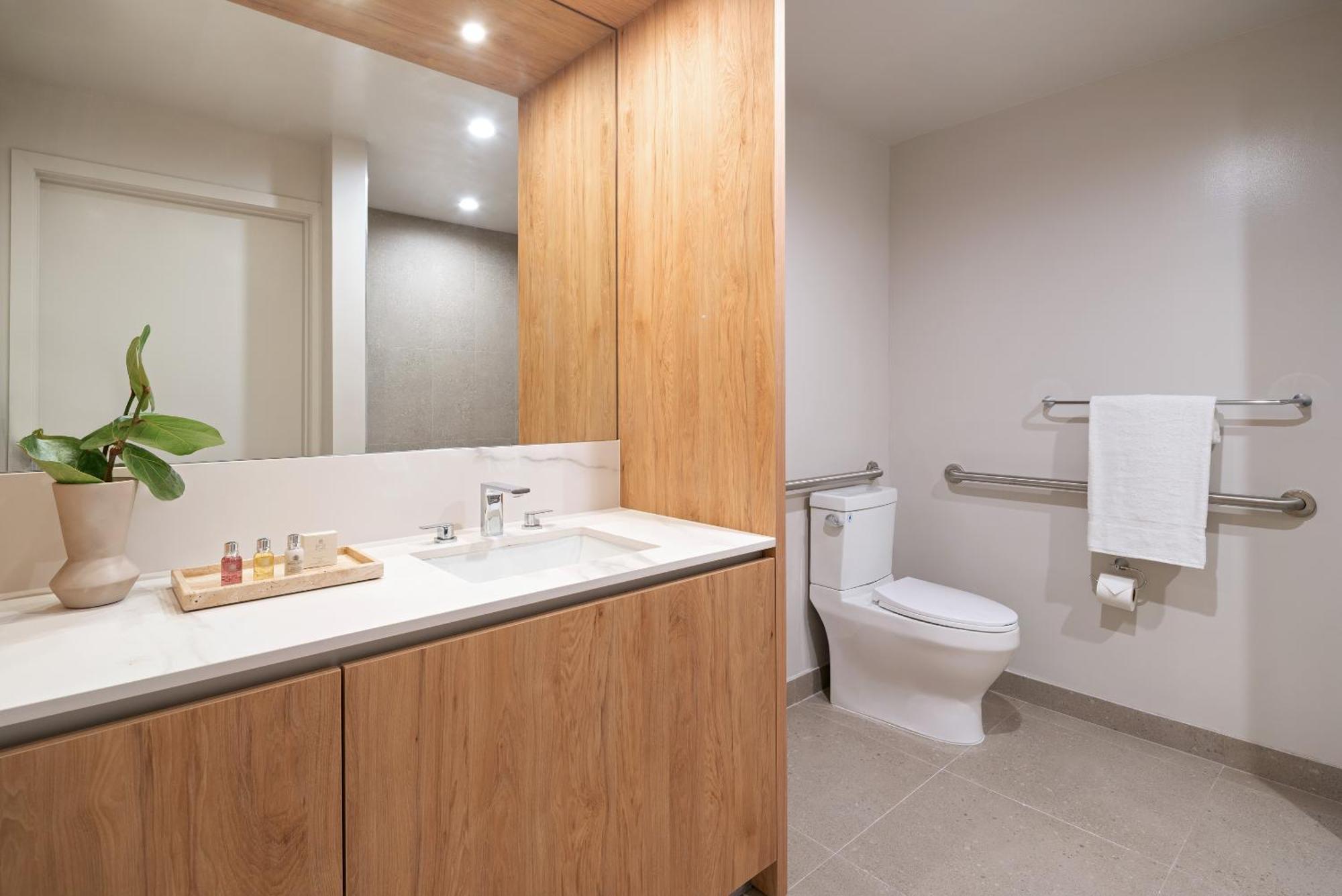Accessible One Bedroom King Suite