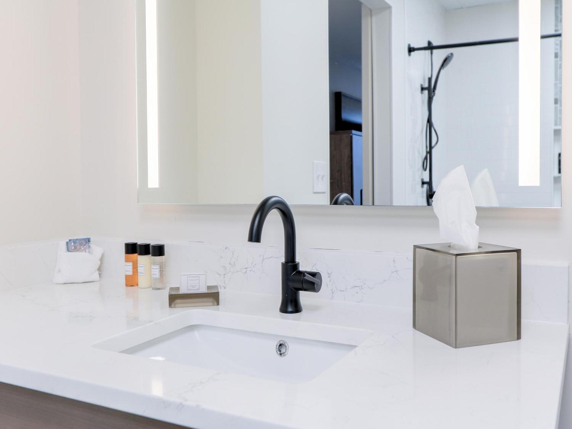 Queen Accessible Roll Shower