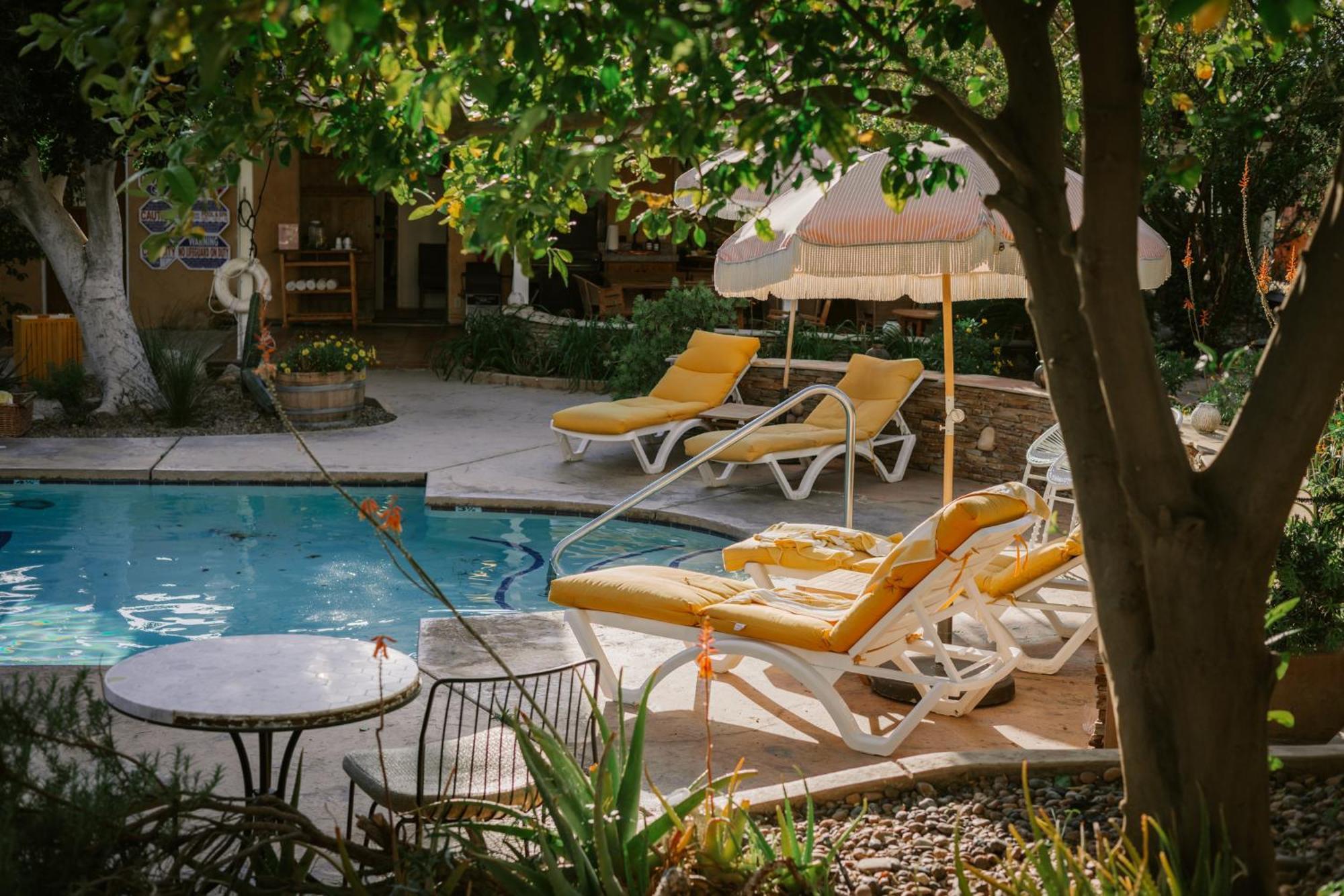Suite Terrace