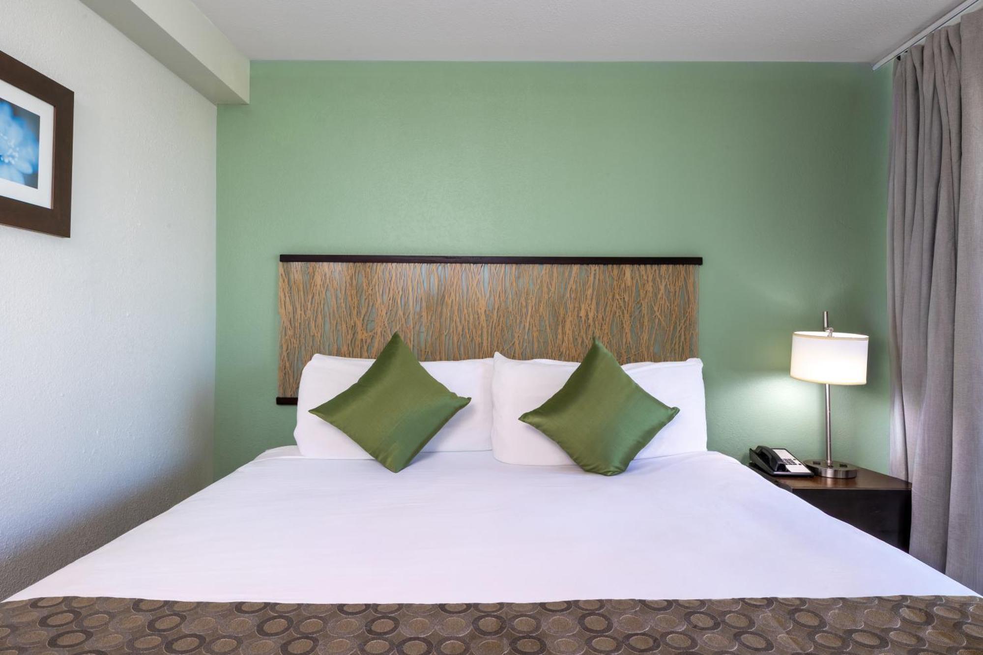 One Bedroom Suite City View