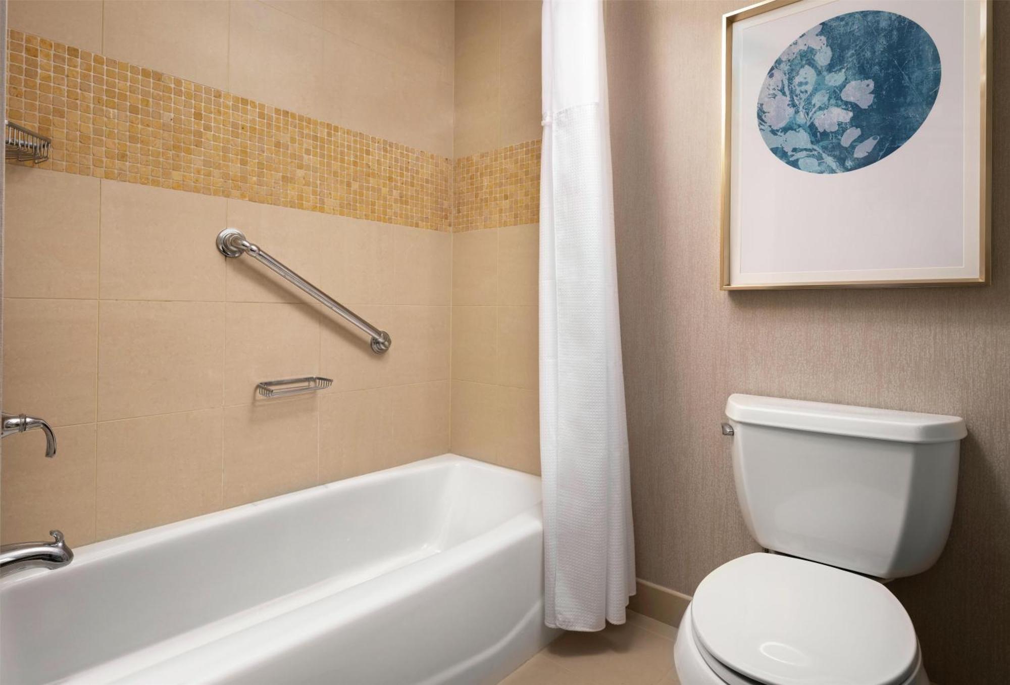 King Room Bath Tub Mobility Access