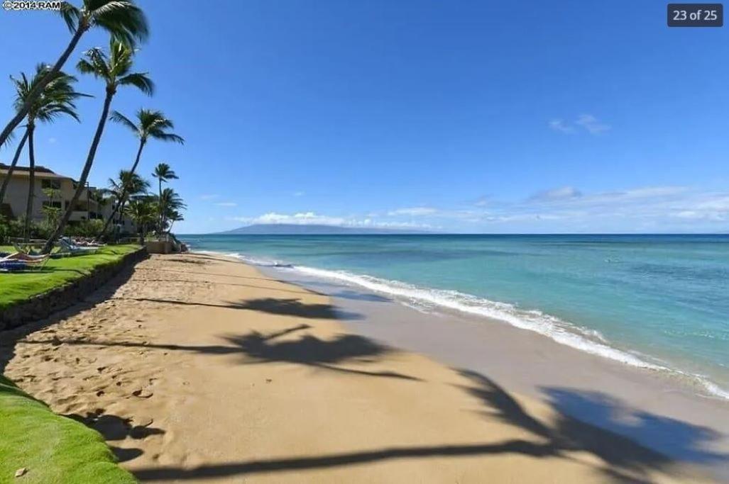 Deluxe One-Bedroom Apartment Ocean View