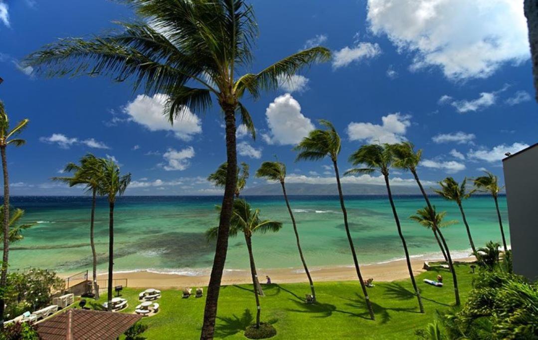 Deluxe One-Bedroom Apartment Ocean View