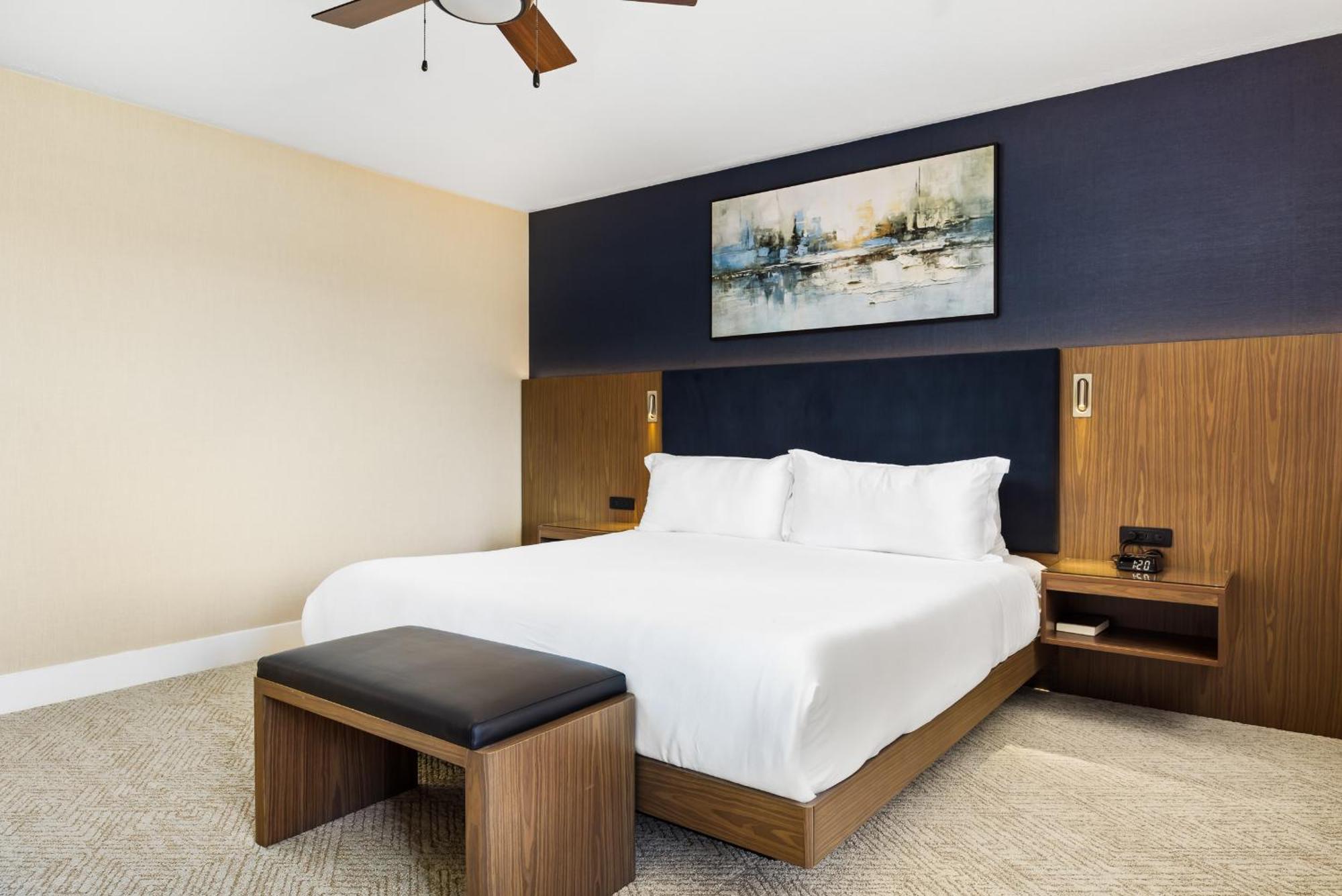 Corner Suite Non Pet Friendly