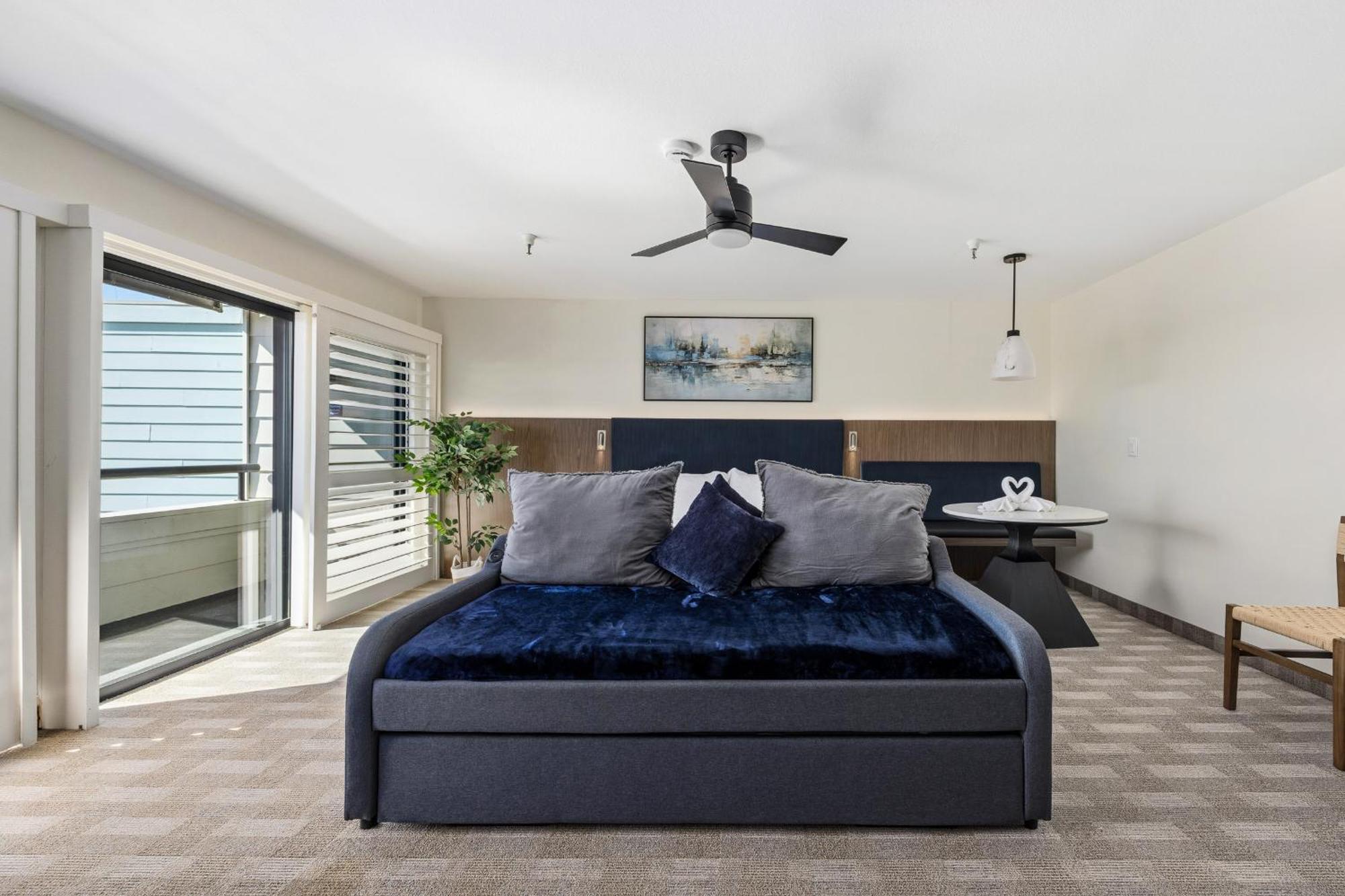 Mini Suite Non Pet Friendly