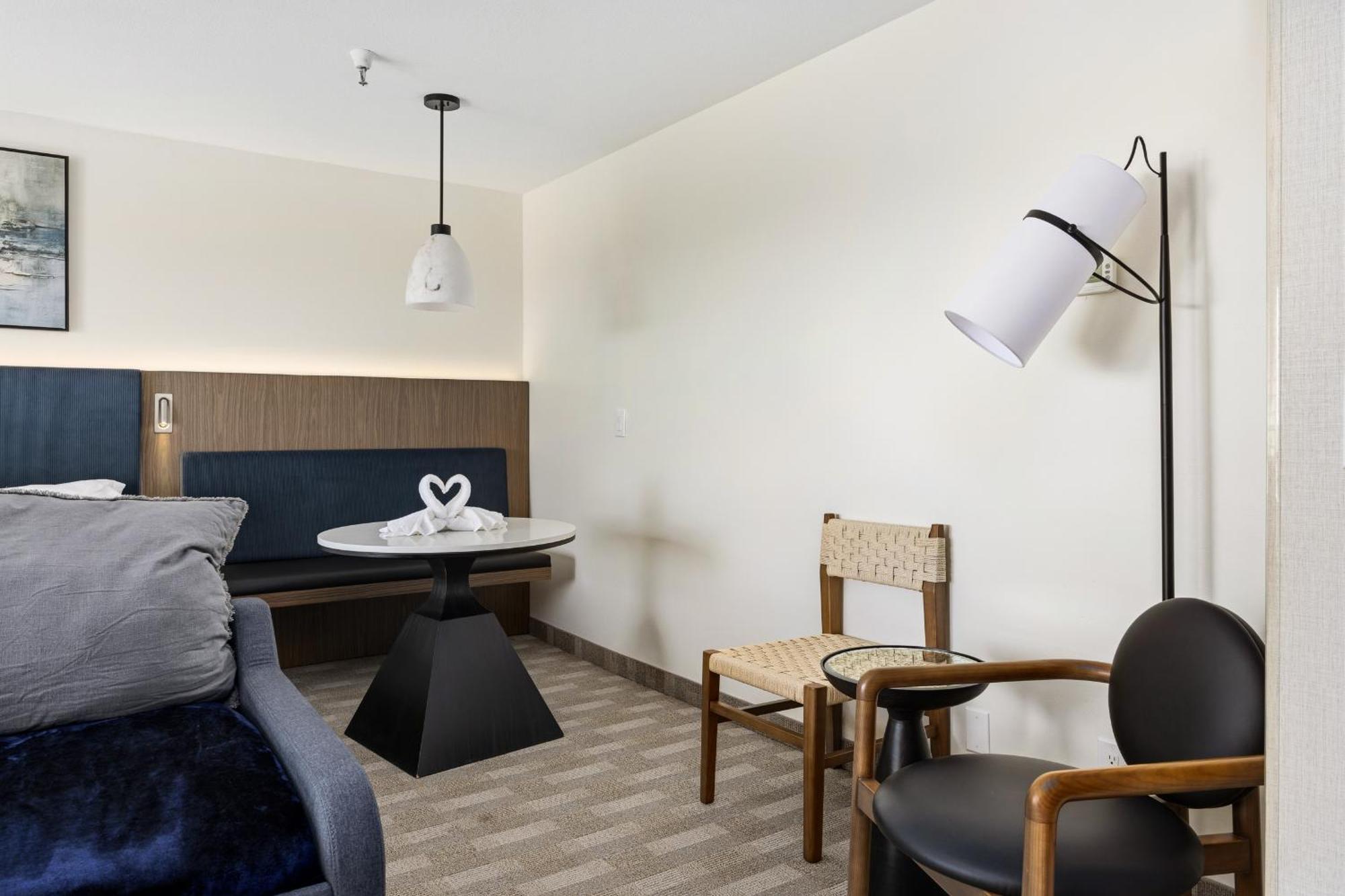 Mini Suite Non Pet Friendly