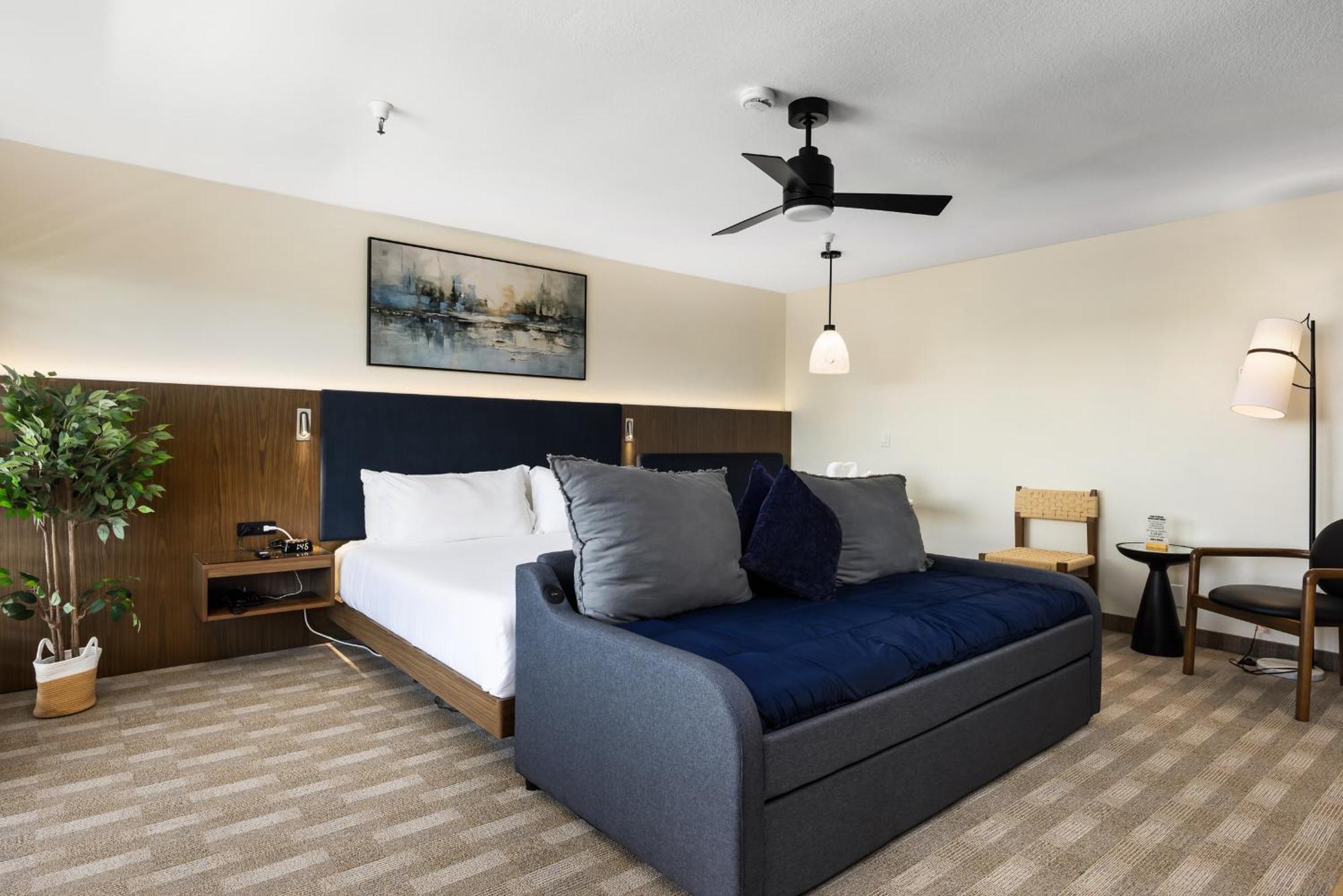 Mini Suite Non Pet Friendly