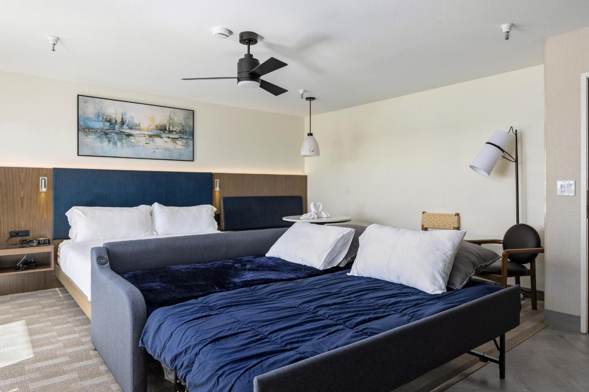 Mini Suite Non Pet Friendly