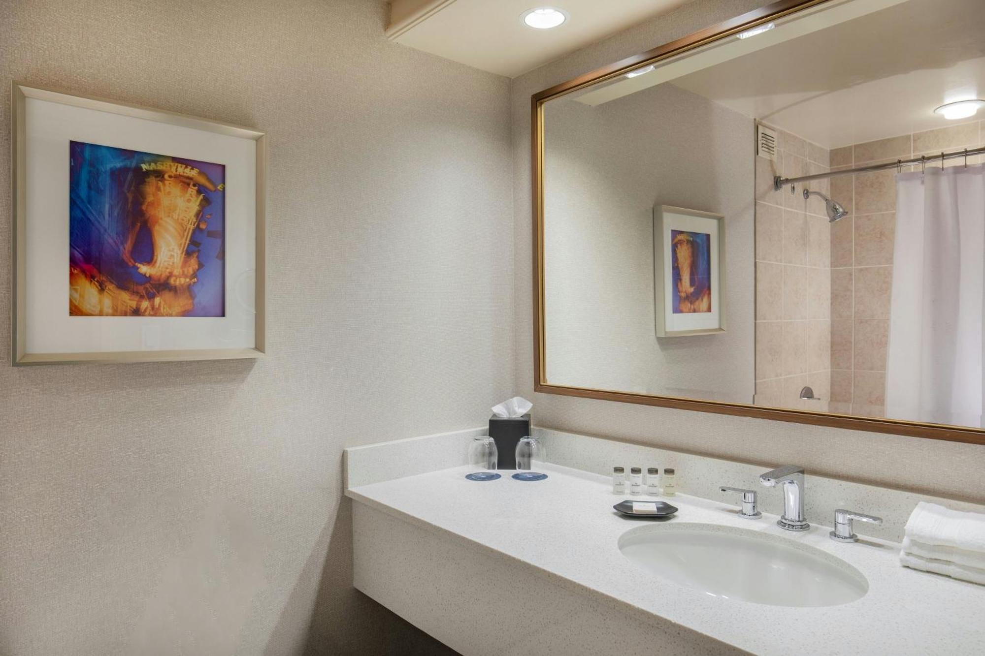 Traditional King Room Adapted Tub Mobility Accessible
