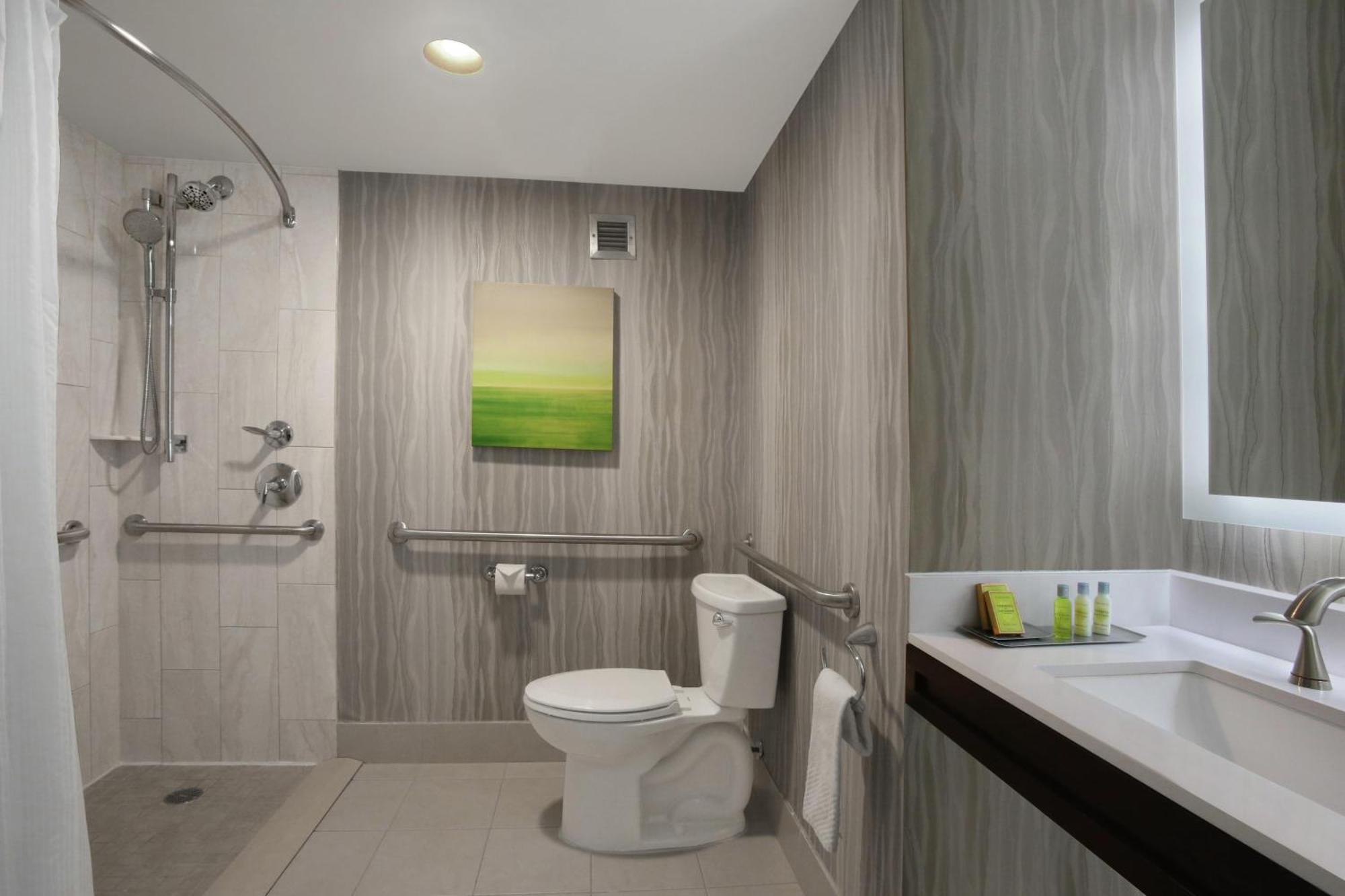King Room Roll Shower Disability Access or Non-Smoking