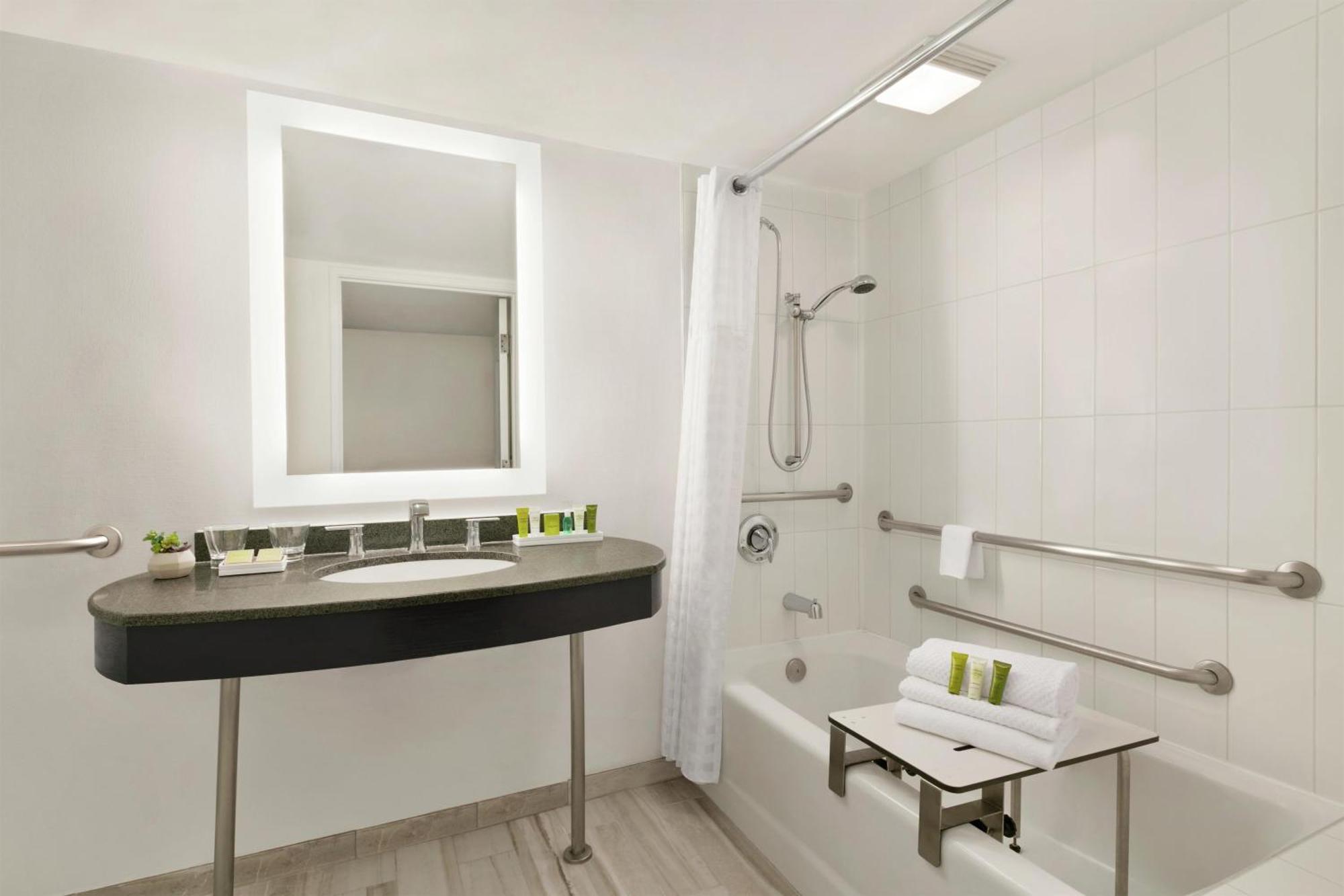 King Room Bath Tub Mobility Access